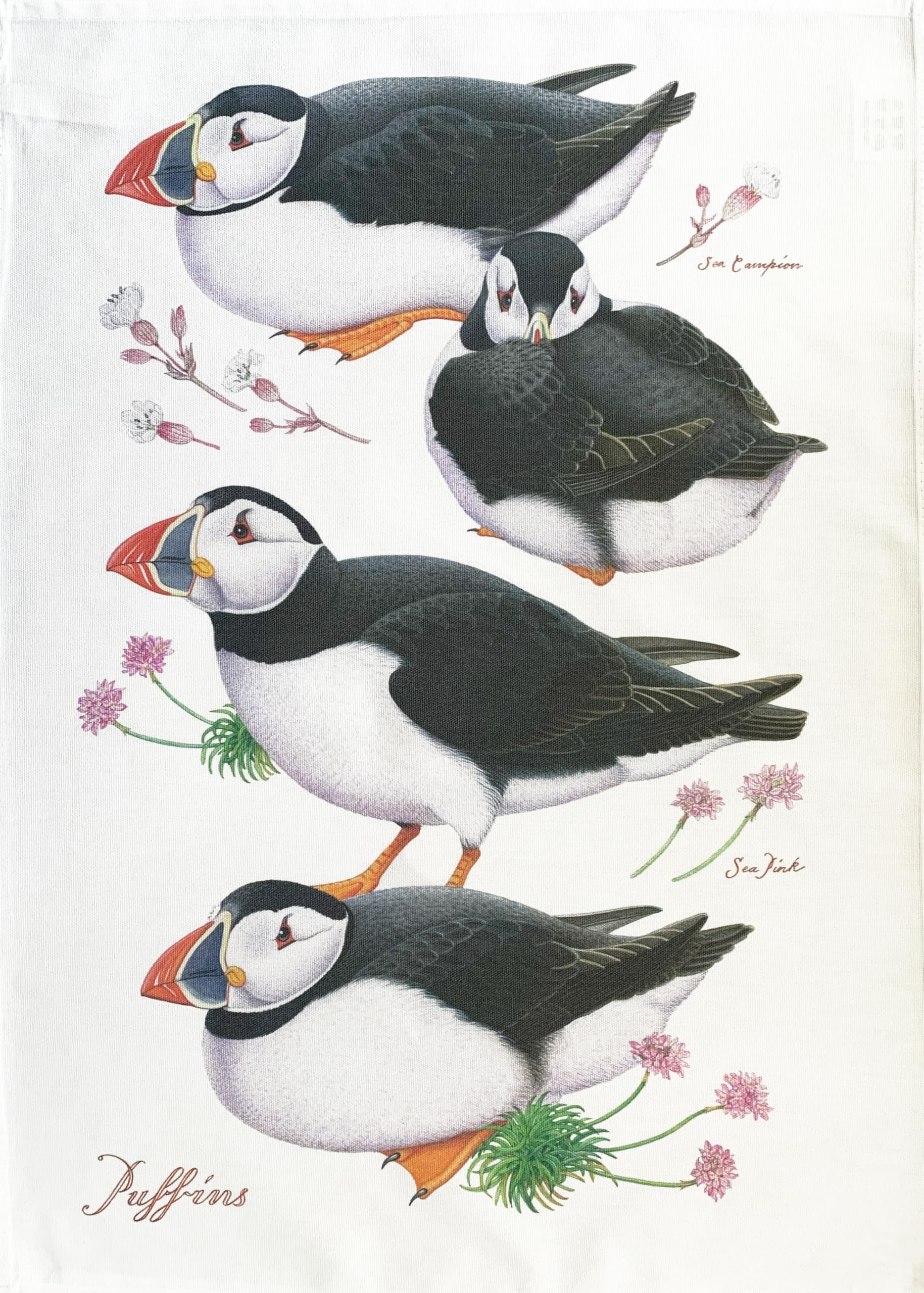 Half a Donkey The Puffins large cotton tea towel