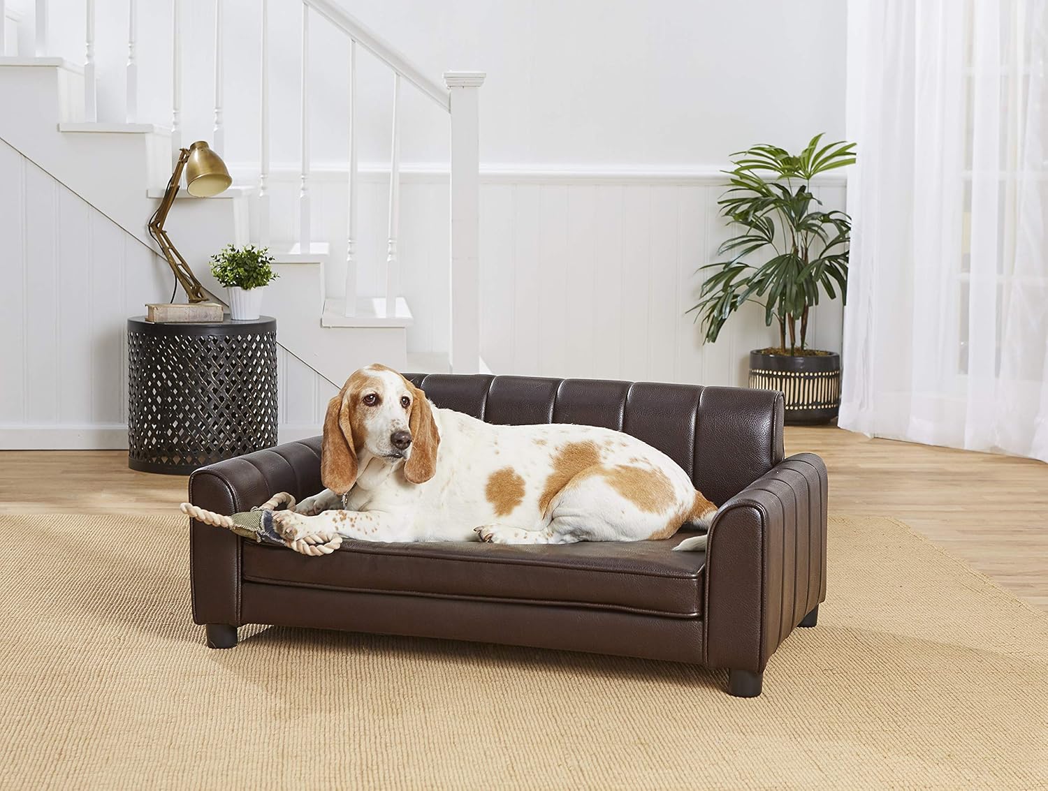 tufted dog sofa