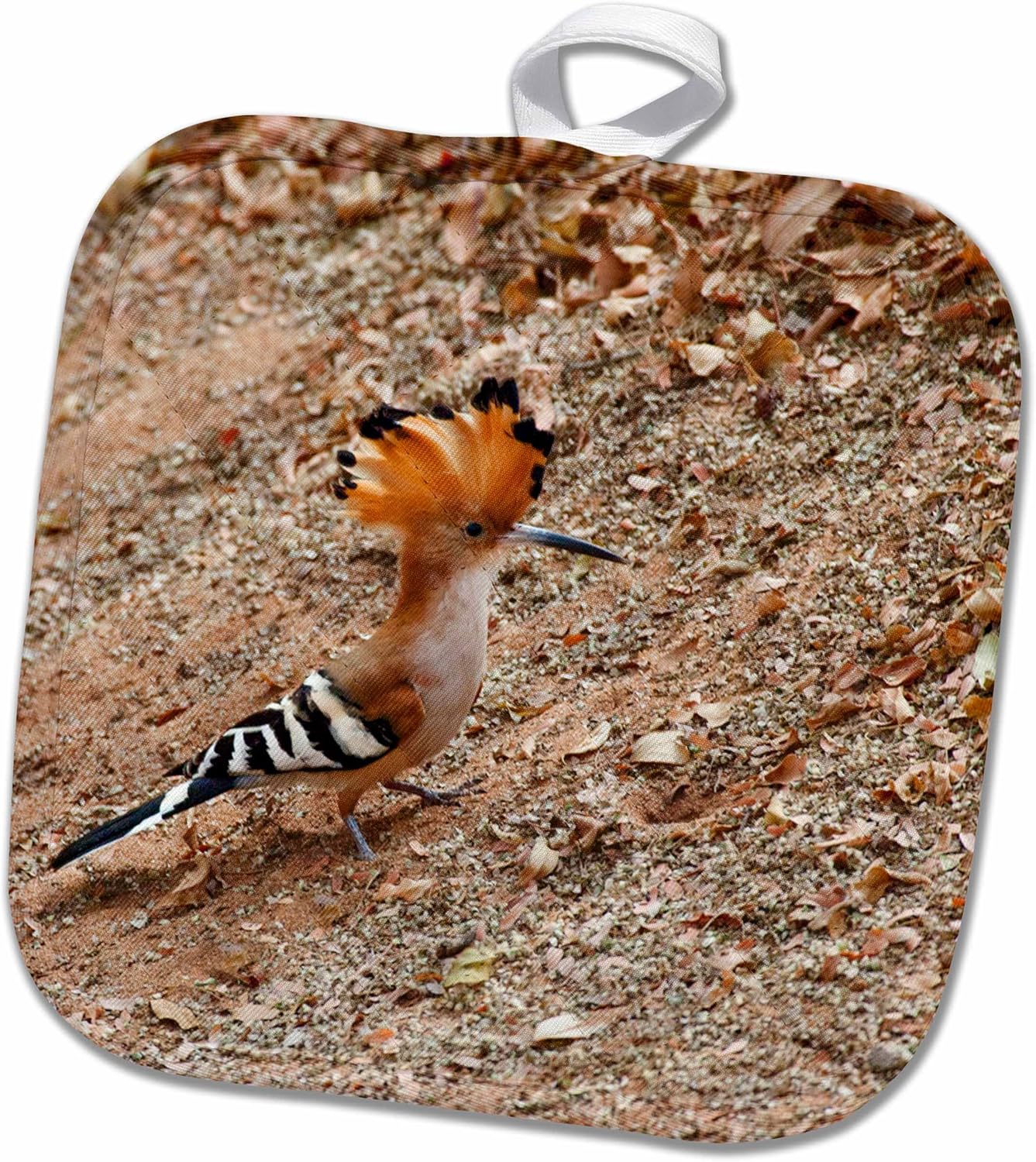 3D Rose Madagascar Hoopoe-Endemic Bird-Af24 Csl0021-Charles Sleicher Pot Holder, 8" x 8"