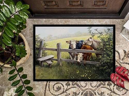 Miniatura 3 de Caroline's Treasures BDBA0103MAT - Felpudo de puerta delantera de 18 x 27 pulgadas, para entrada y entrada, antideslizante, lavable, de pelo bajo,