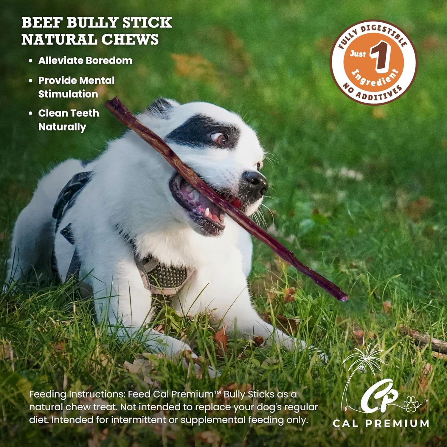 Natural Bully Sticks for Dogs, 16-18 inch, 18 Counts, 100% USA Sourced & Made, Single Ingredient, Moderate Chewer, Healthy Long Lasting Treats