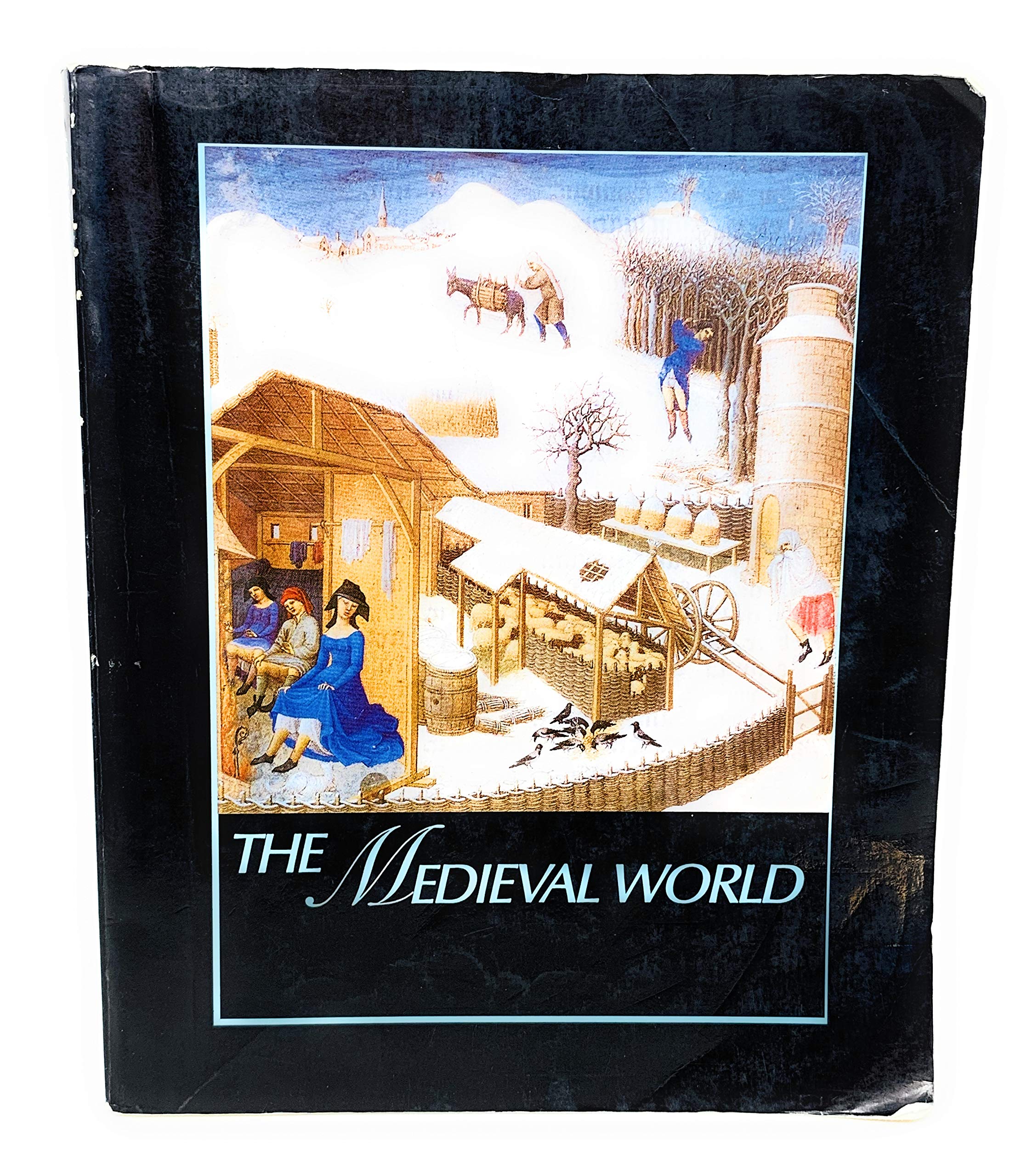 The Medieval World