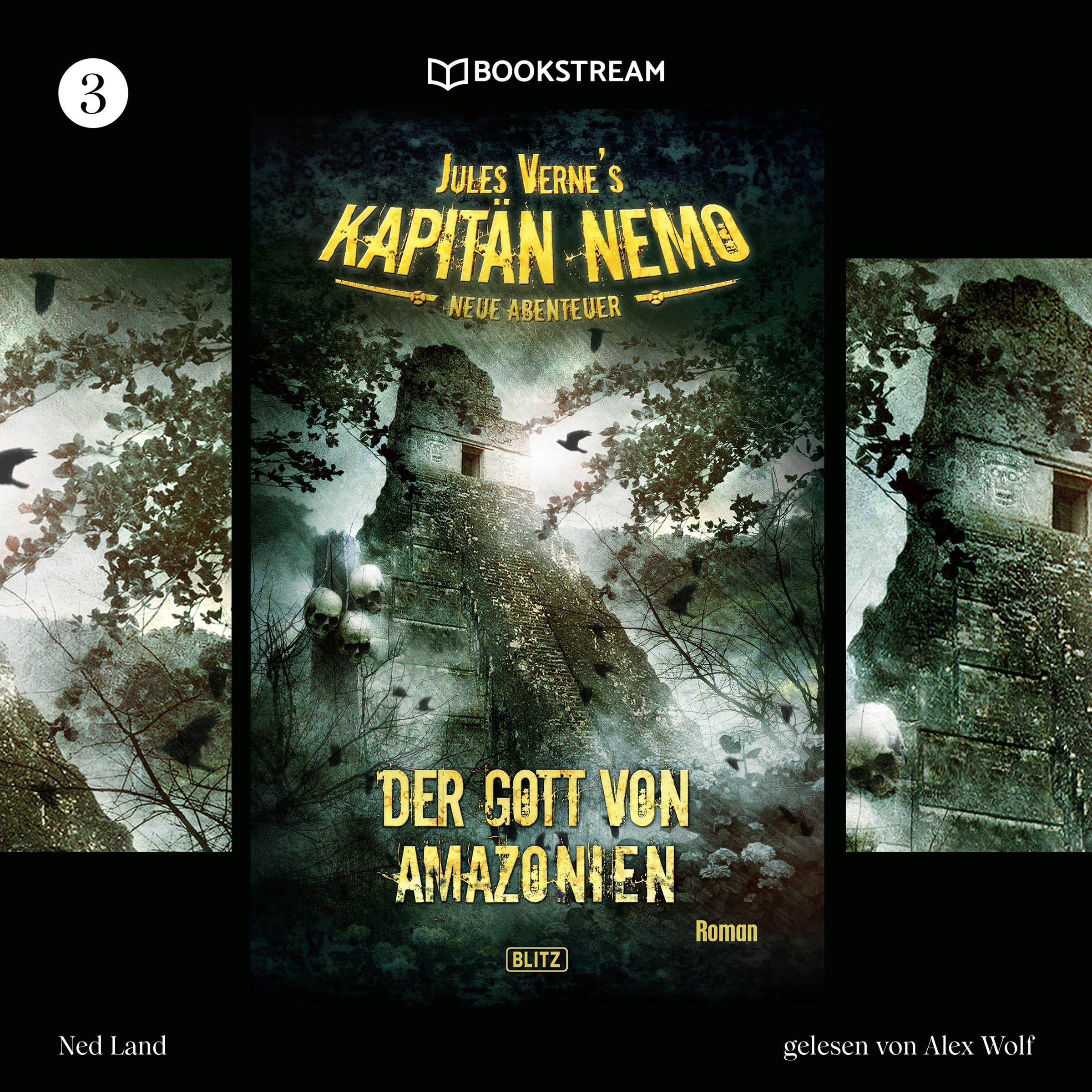Cover art for Der Gott von Amazonien