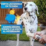 Ver la foto 2