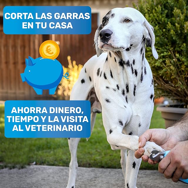 Foto 2 de 8 de BluePet Cortauñas Profesional Perros, Tijeras Ajustables Uñas Grandes