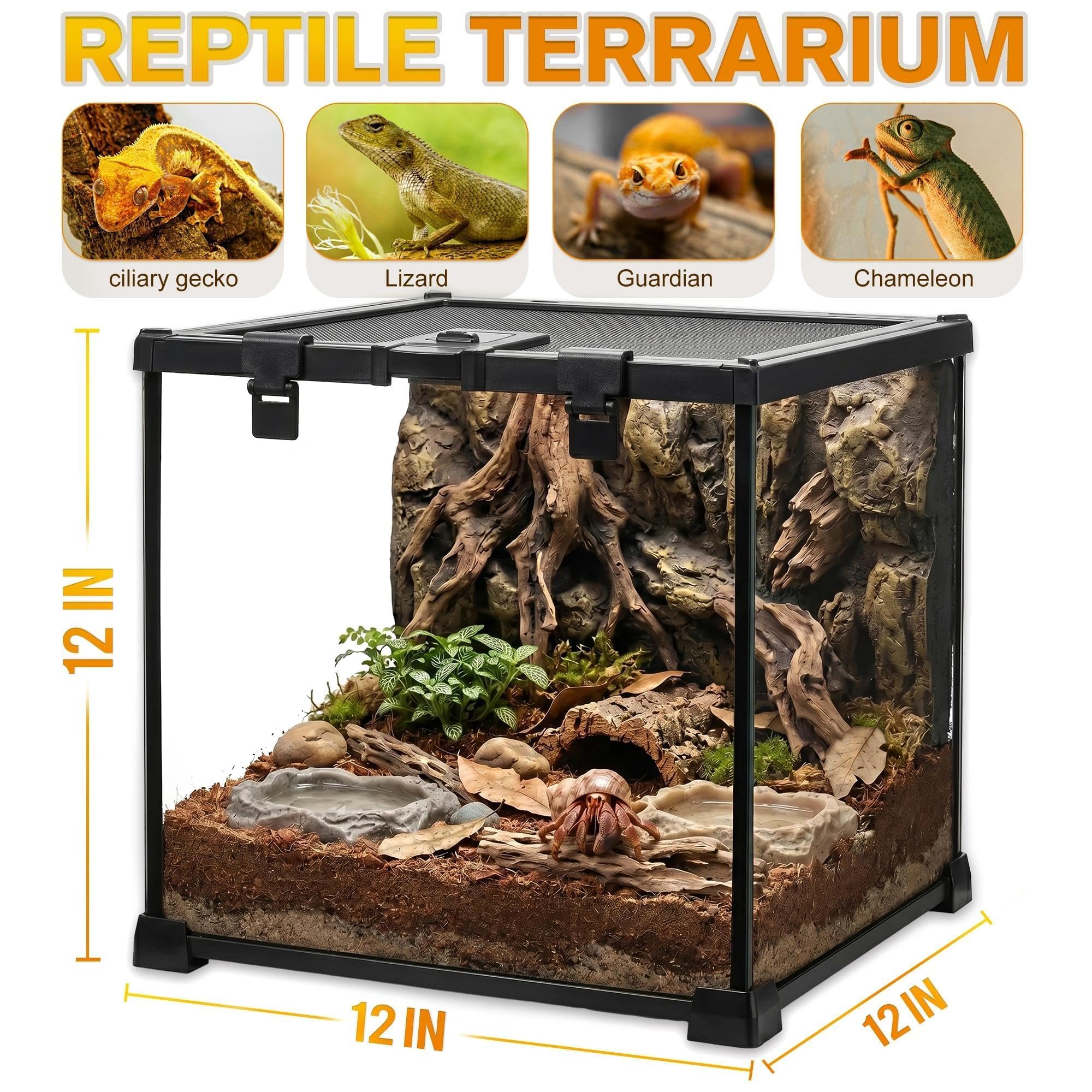 Mini terrario in vetro per rettili, 30,5 x 30,5 x 30,5 cm, a vista completa, per piccoli anfibi, gabbia per habitat in vetro, con fessura per l'alimentazione e fibbia di blocco della scatola