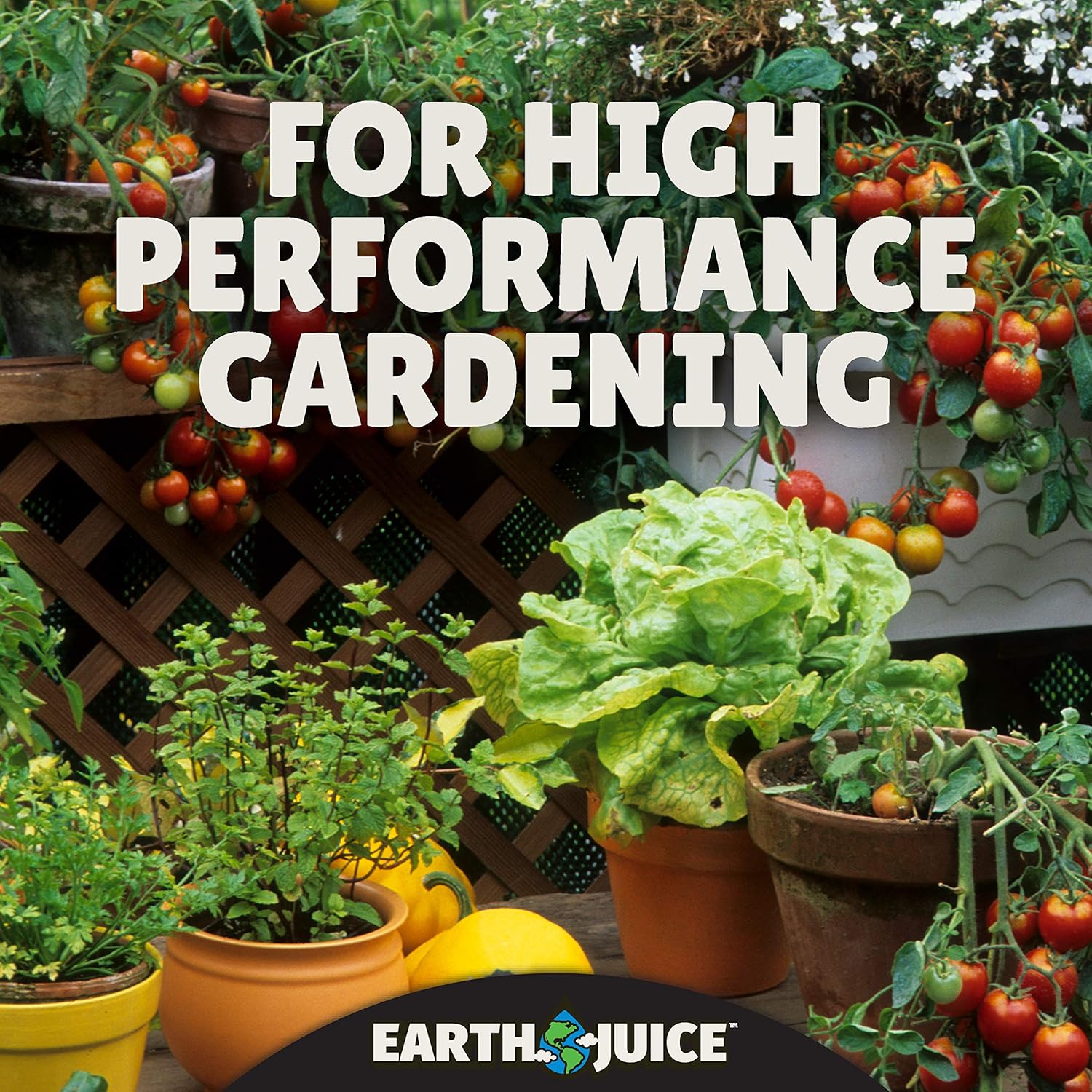 ARZER Earth Juice Hydroponic & Indoor Gardening Starter Kit Plant Fertilizer and Nutrients