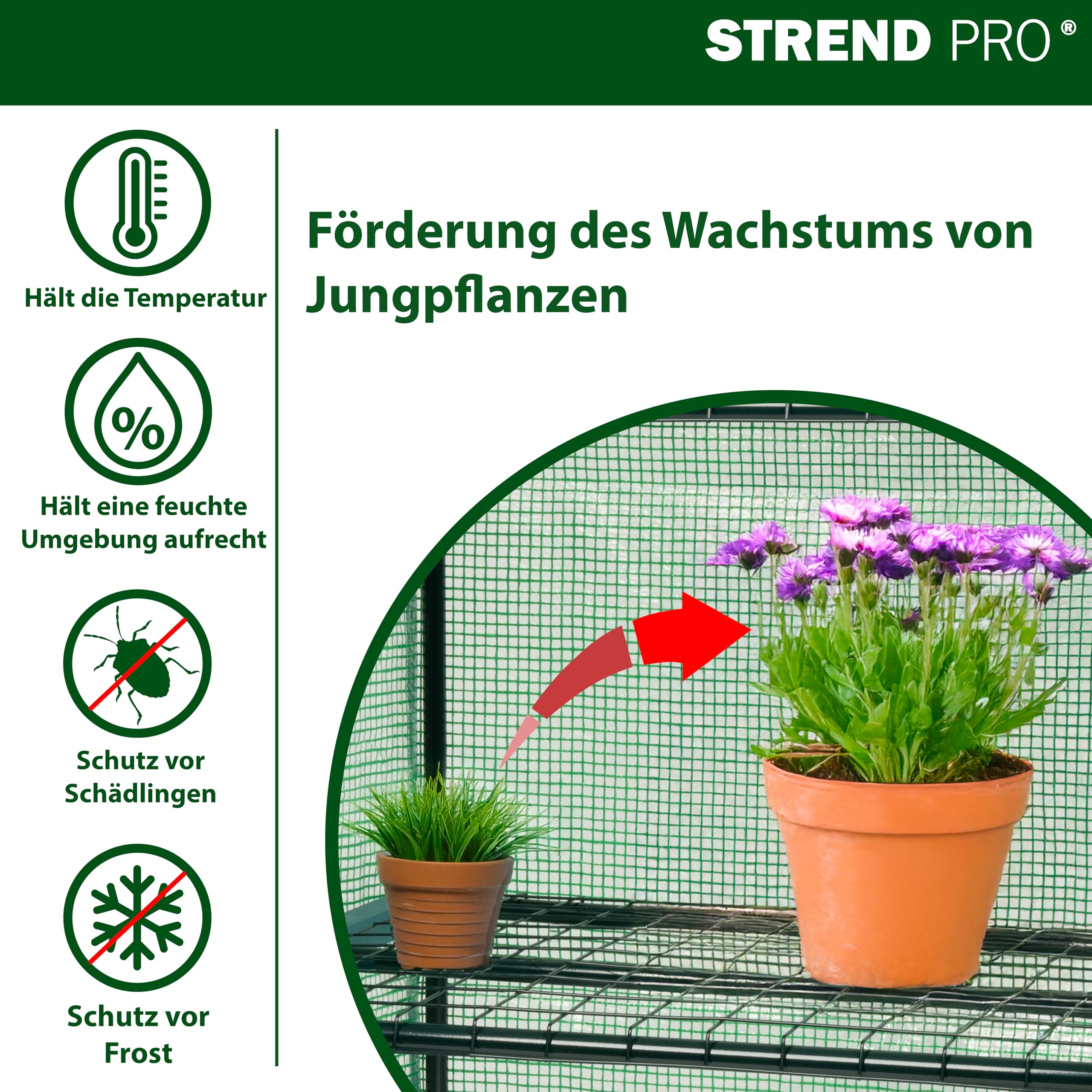 STREND PRO Gewächshaus klein 200 x 69 x 49 cm für optimales Pflanzenwachstum, Mini-Gewächshaus mit 5 Ebenen, inkl. Gewächshausfolie, grünes Gewächshaus, Balkonfolie, Gewächshaus, winterfest