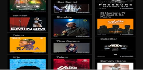 Payplaynet