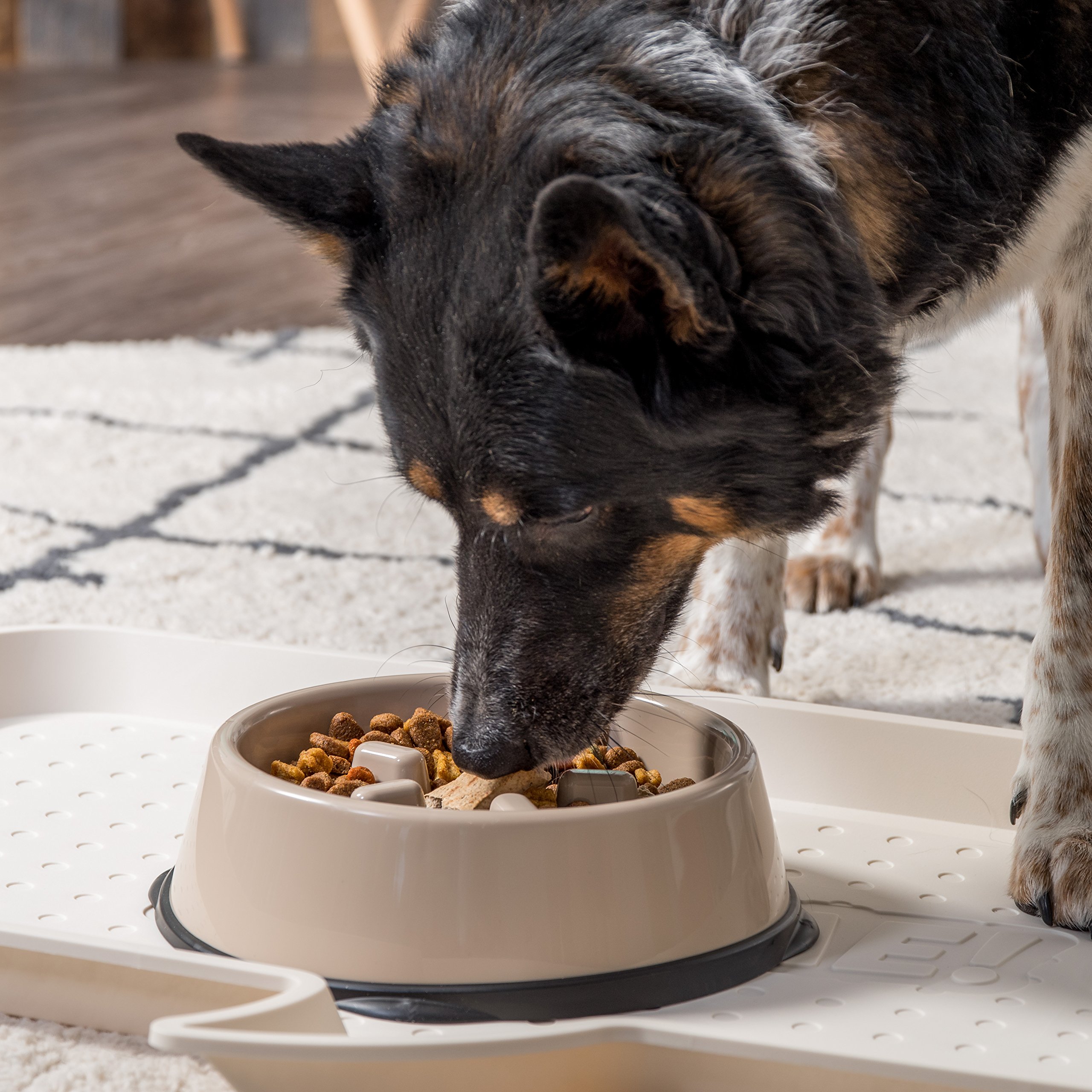 IRIS USA 4-Cup Slow Feeder Bowl, Anti-Choking & Anti-Slip Puzzle Dish for Healthy Digestion, Long Snout Dogs & Cats, BPA & PVC-Free, Beige/Black - image 6