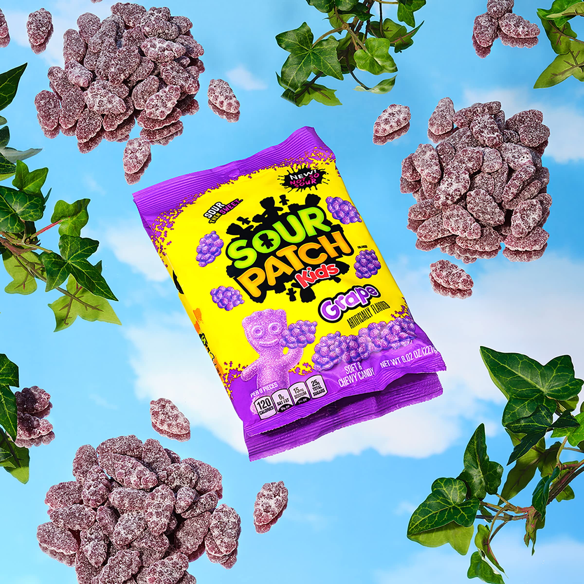 Sour Patch Kids Grape Soft And Chewy Candy – VUXF