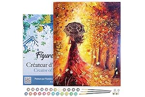 Figured Art Paint by Numbers Kit for Adults with Frame