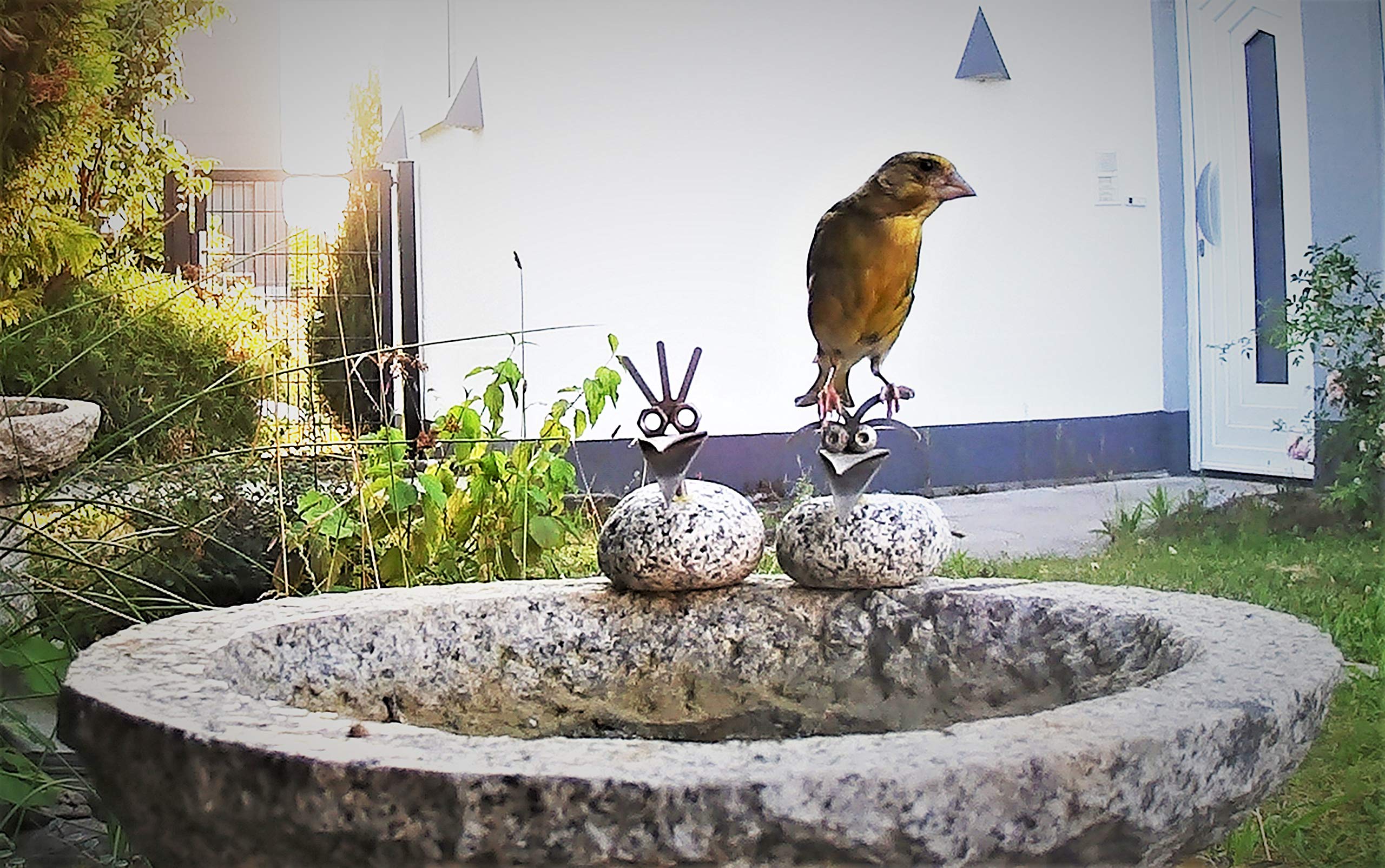 Vogelbad aus Granit (mit 3 Vögele am Rand sitzend)