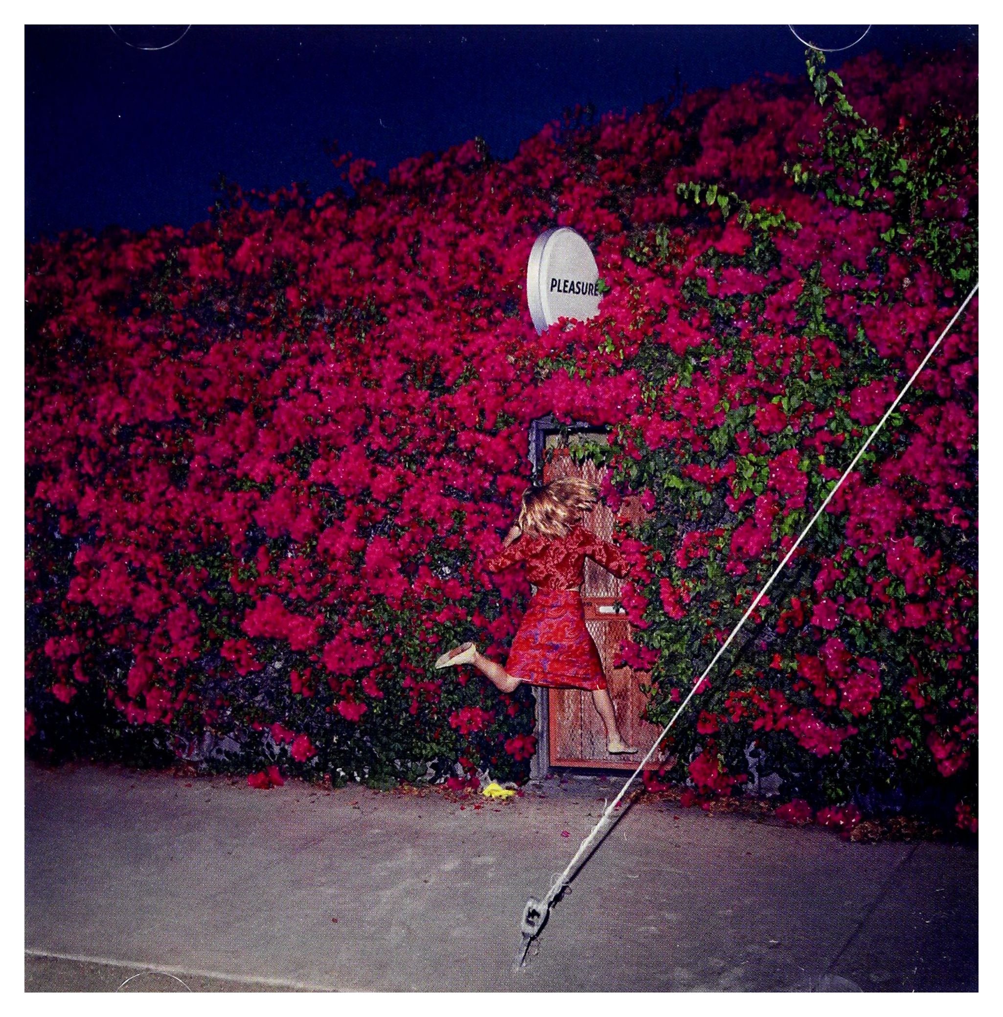 FEIST / PLEASURE レアアルバム FEIST / PLEASURE レアアルバム