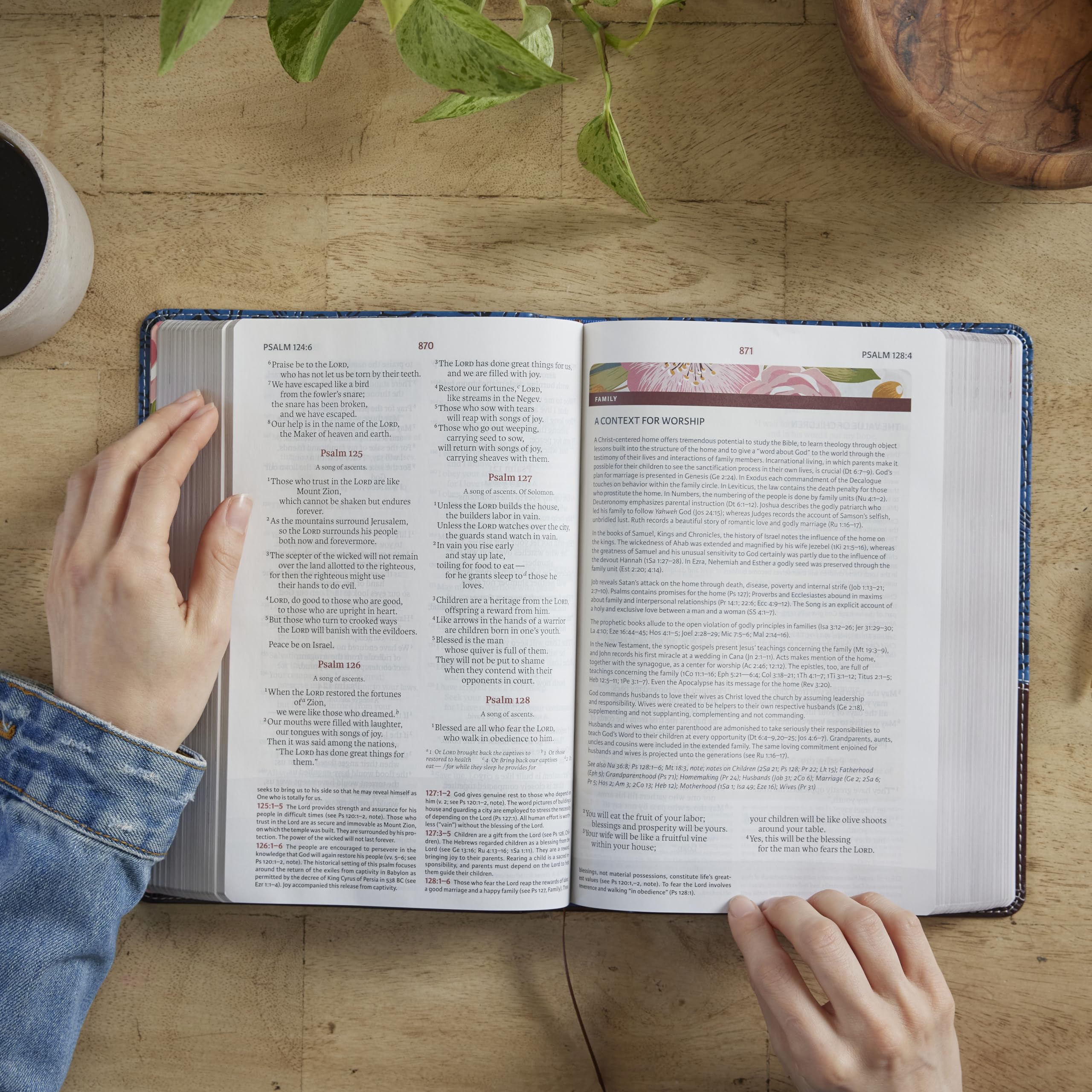 NIV, The Woman's Study Bible, Hardcover, Full-Color, Red Letter: Receiving God's Truth for Balance, Hope, and Transformation