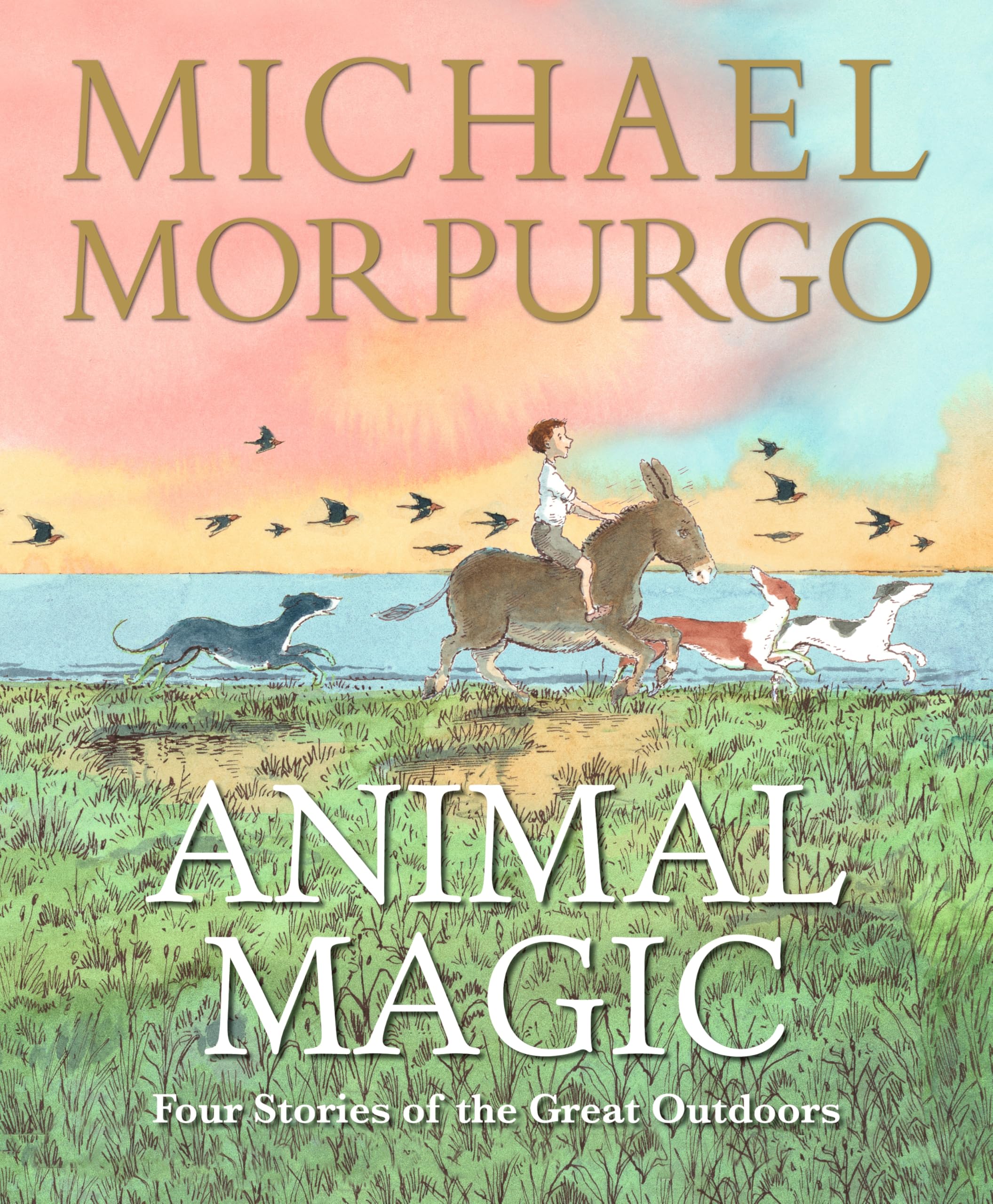 Animal Magic Four Stories of the Great Outdoors by Michael Morpurgo HARDBACK