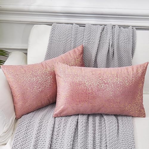 EUCIOR Juego de 2 fundas de almohada de color oro rosa, almohadas rosas y doradas, decoración de terciopelo suave con cierre de cremallera oculta,