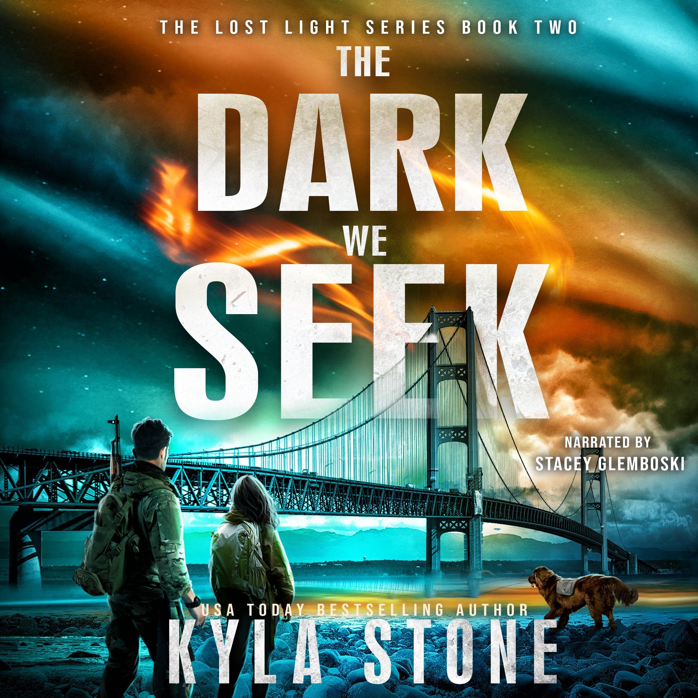 Cover art for The Dark We Seek