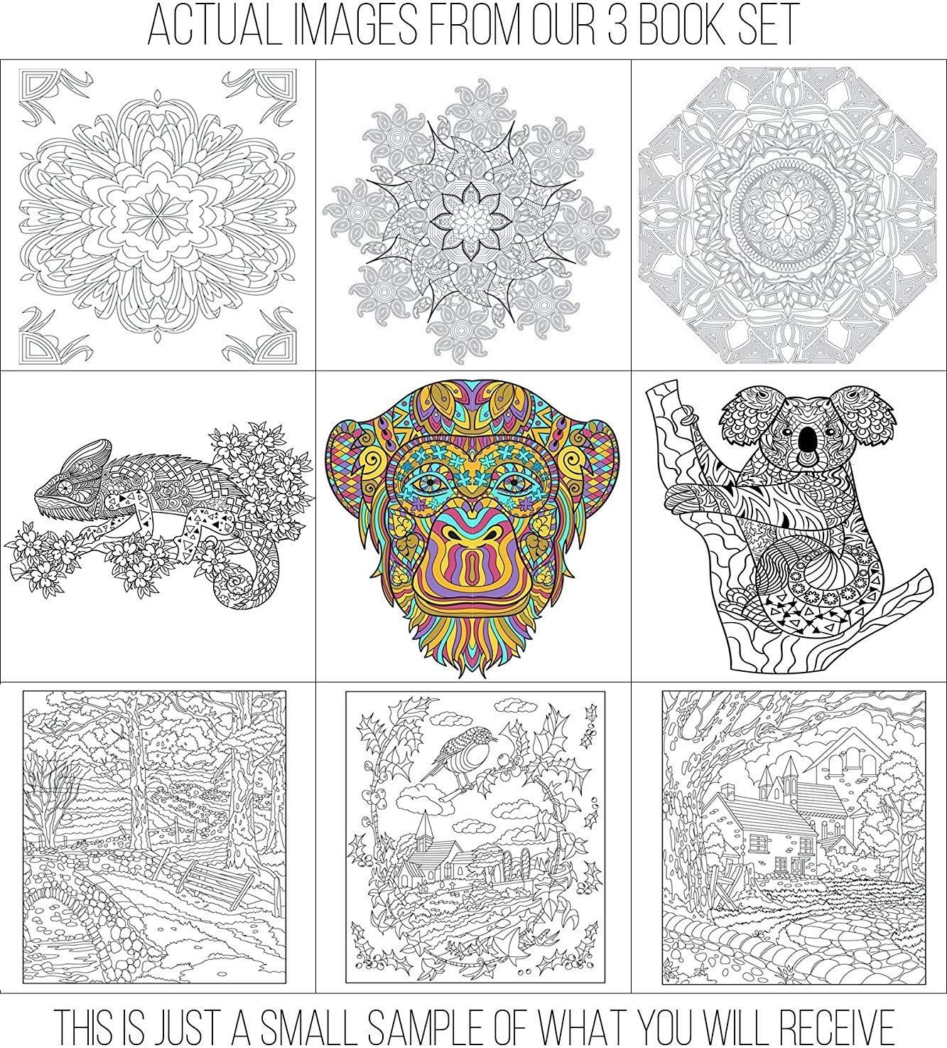 Creatively Calm Studios Adult Coloring Book Bundle - 6 Books! Animals, Mandalas, Butterflies and Flowers, Henna, Landmarks, Scenery
