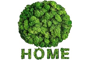 Sukh Preserved Moss for Nails - 3.5 OZ Green Moss Decor