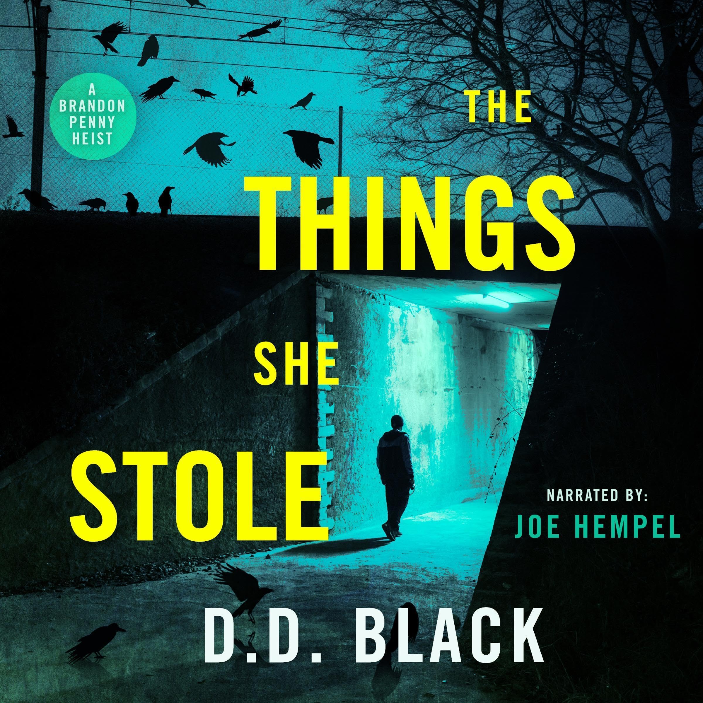Cover art for The Things She Stole
