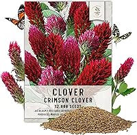 Vista 17 de Seed Needs 1000+ semillas de flor de caléndula para plantar variedad Pink Surprise Caléndula officinális anual no transgénica Flores