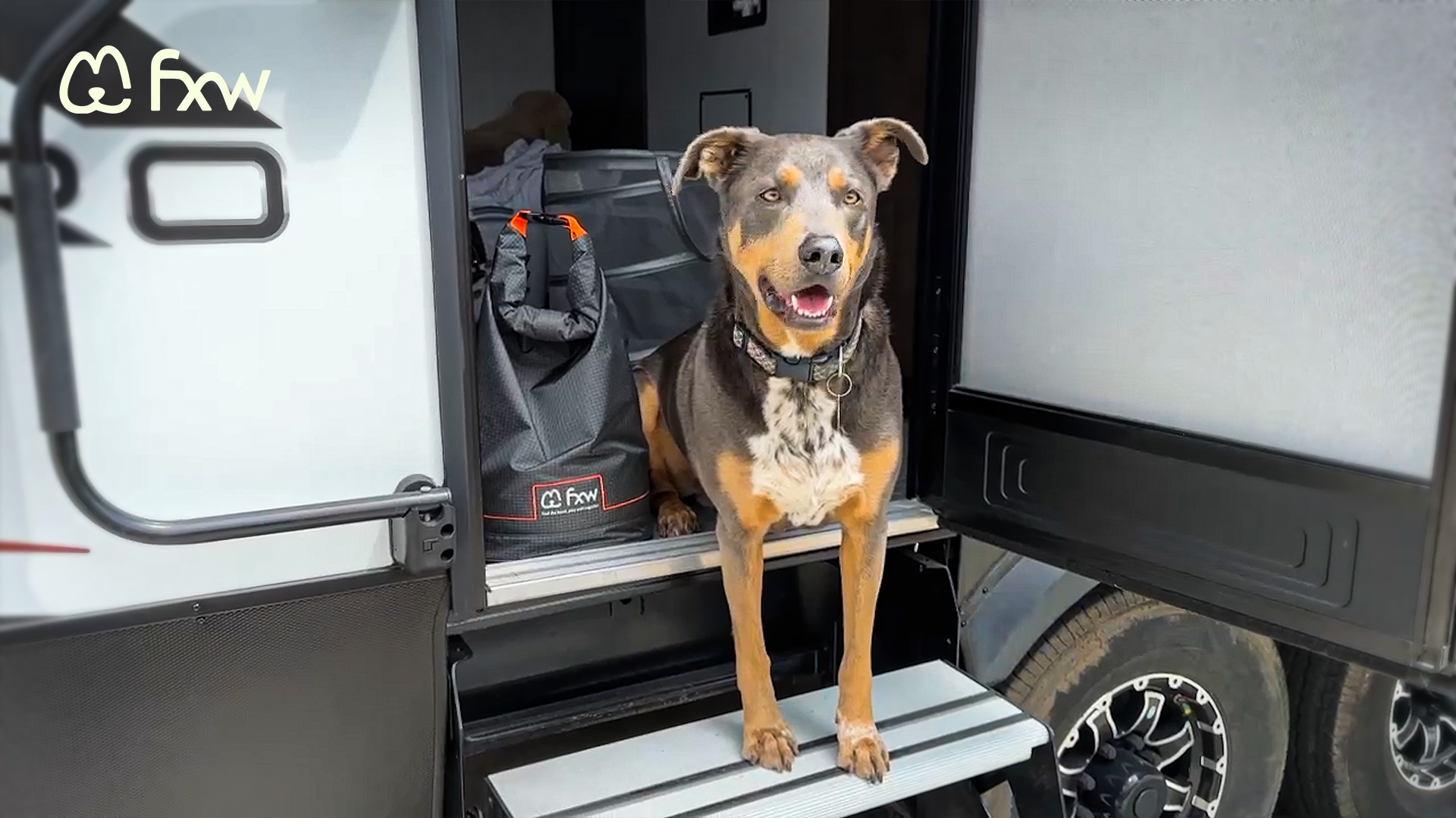 FXW Hundefutter-Reisetasche Groß – Faltbar, Wasserfest & Mit Extra-Taschen