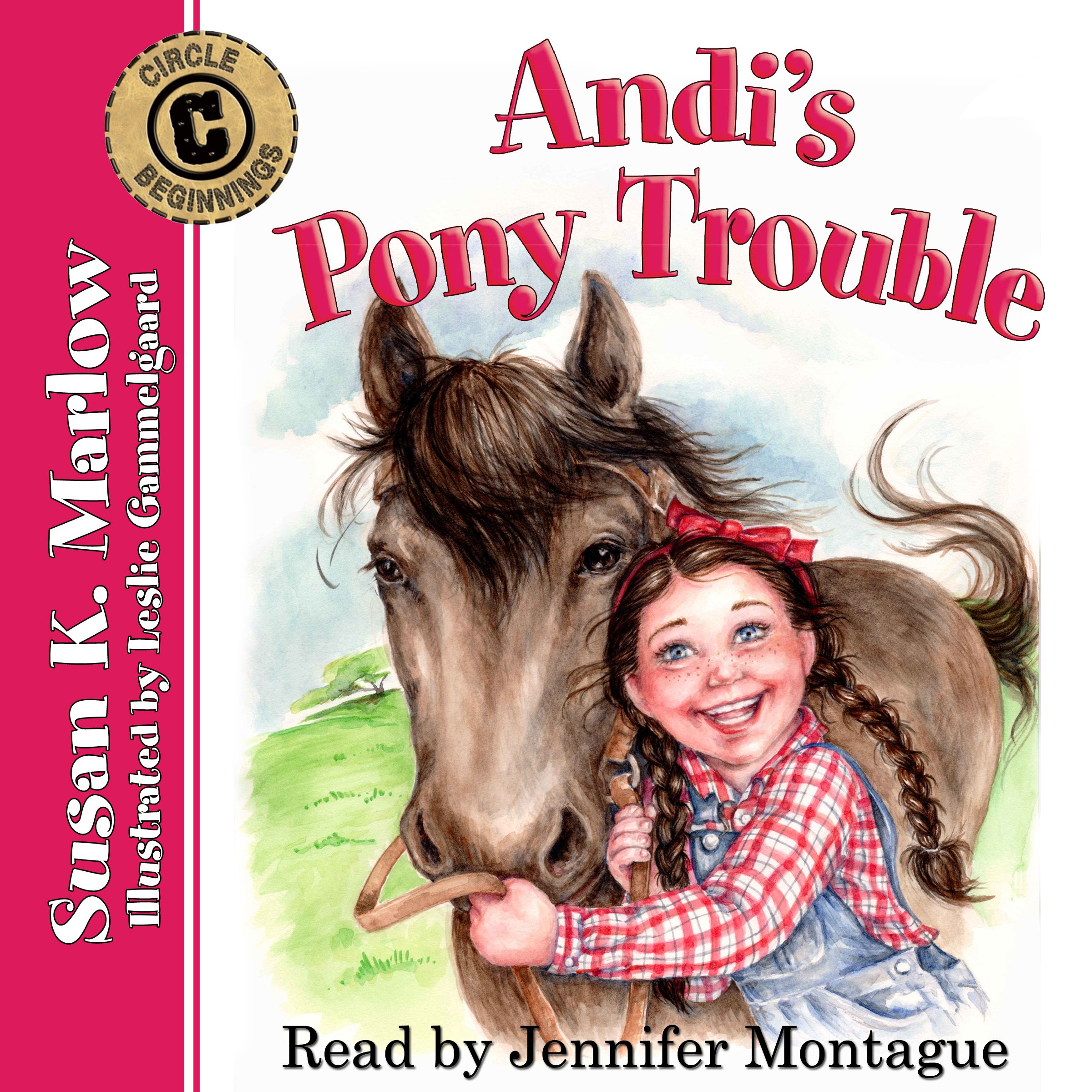 Andi's Pony Trouble