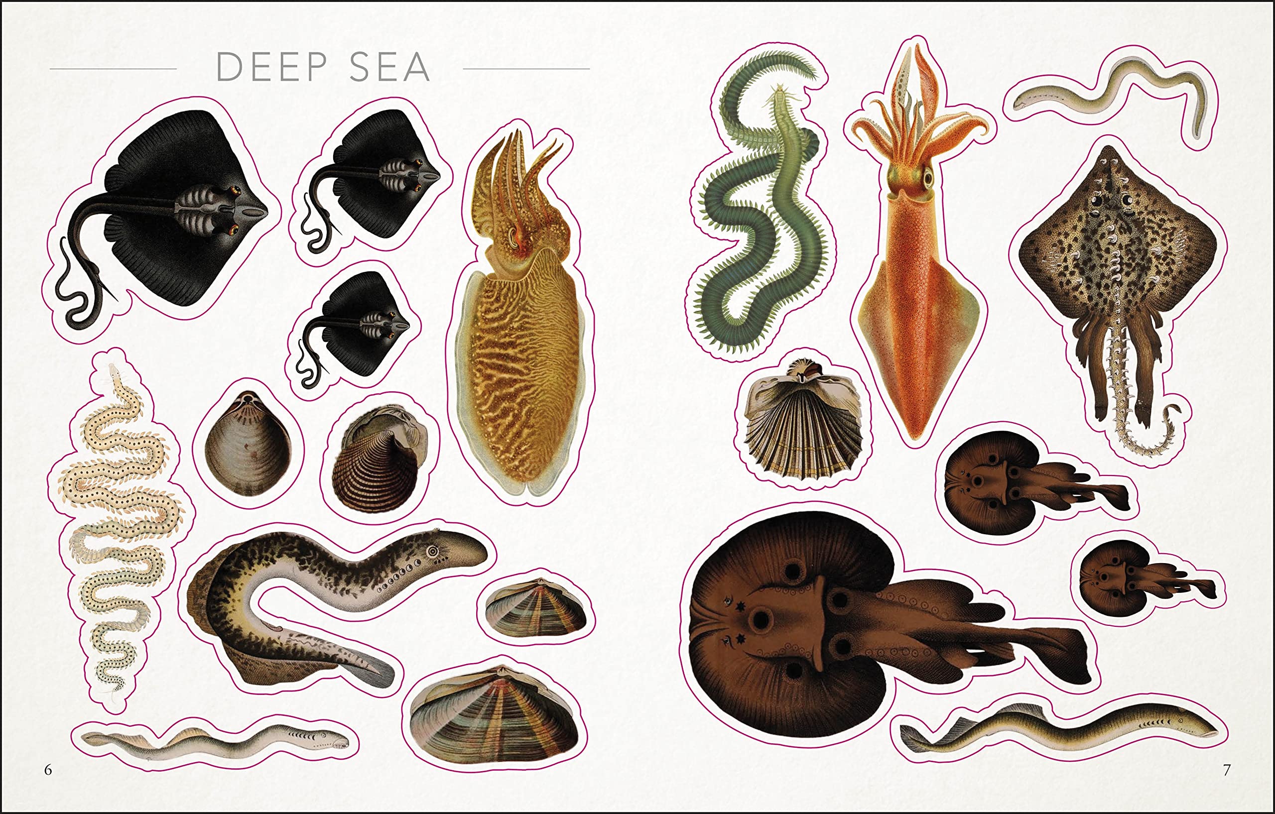 The Seashore Sticker Anthology: With More Than 1,000 Vintage Stickers