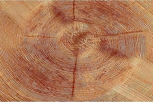 Miniatura 7 de Juego de mesa auxiliar moderna de 2 piezas para sala de estar, mesa anidable redonda con acabado natural con diseño de anillo de madera hecho a