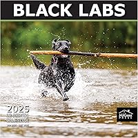 Vista 89 de MICASA PRESS Corgi Butts - Calendario de pared 2026 de 12 meses 12 x 24 pulgadas abierto Papel grueso y resistente Regalo de vacaciones