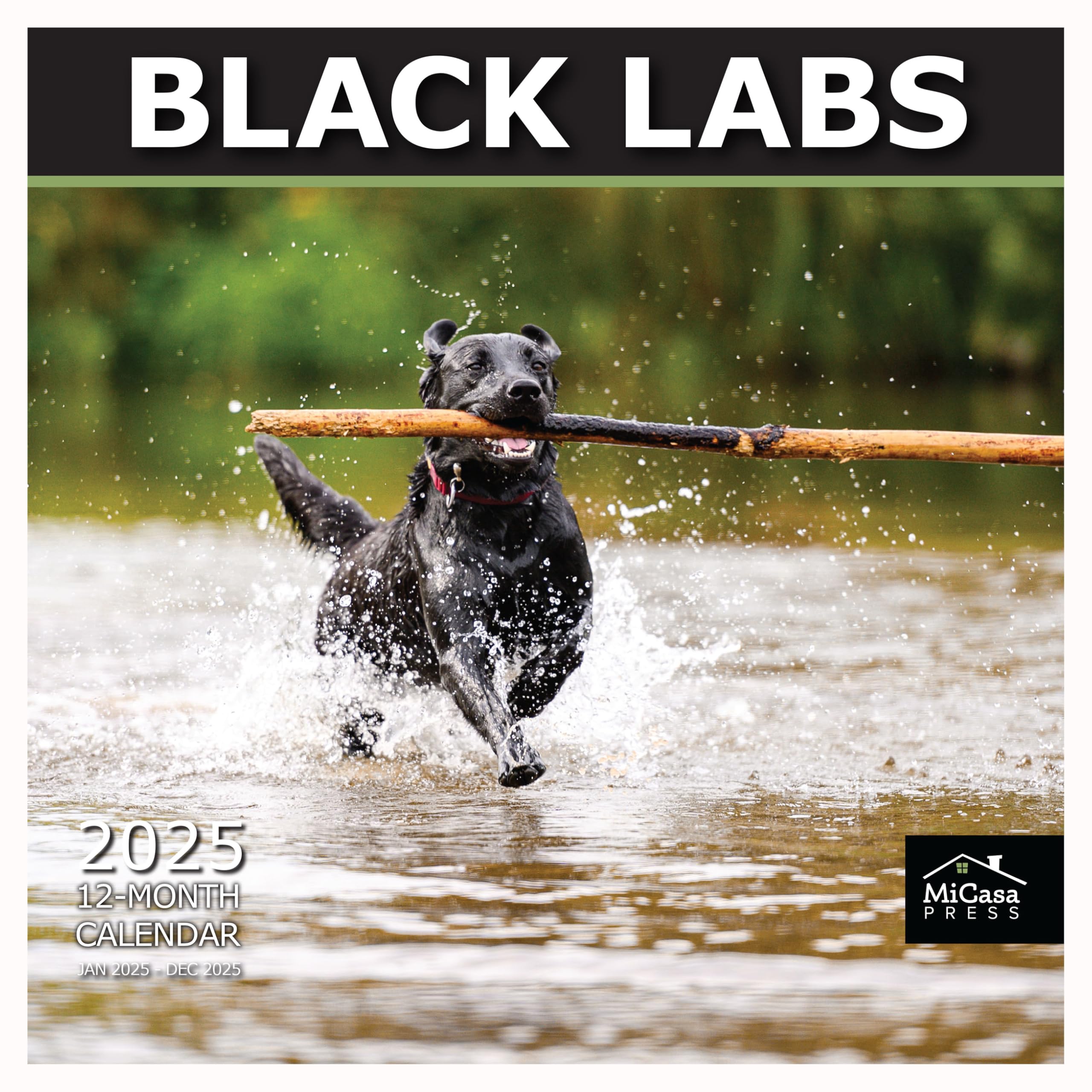 MICASA PRESS - Black Labs 2025 Wall Calendar 12 Month | 12" x 24" Open | Thick &amp; Sturdy Paper | Giftable | Calendar 2025