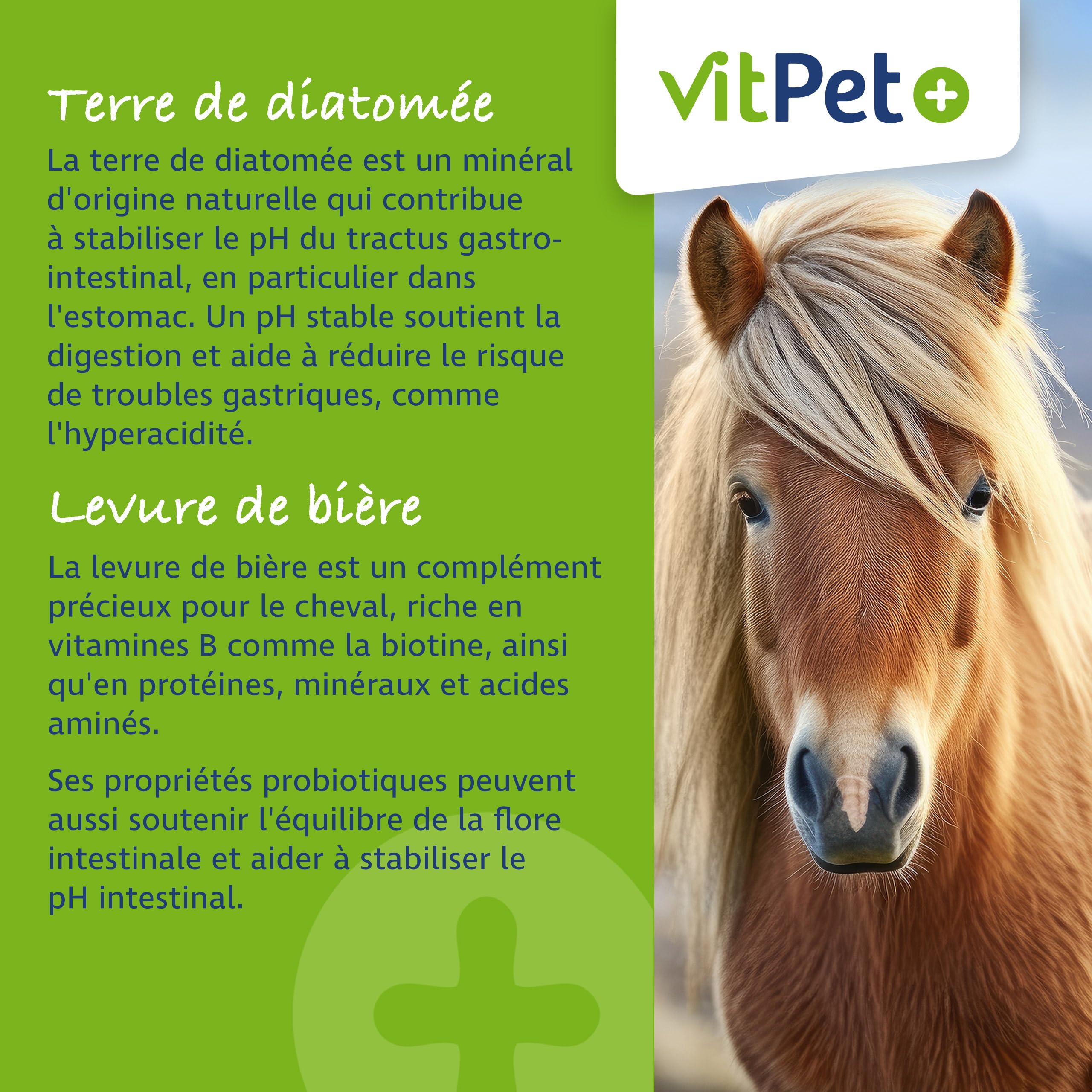 Huf Wohl - Alimento mineral especial para caballos, con biotina, zinc, tierra de diatomeas y levadura de cerveza, 4 kg, para apoyar el crecimiento de pezuñas, incluye cuchara dosificadora