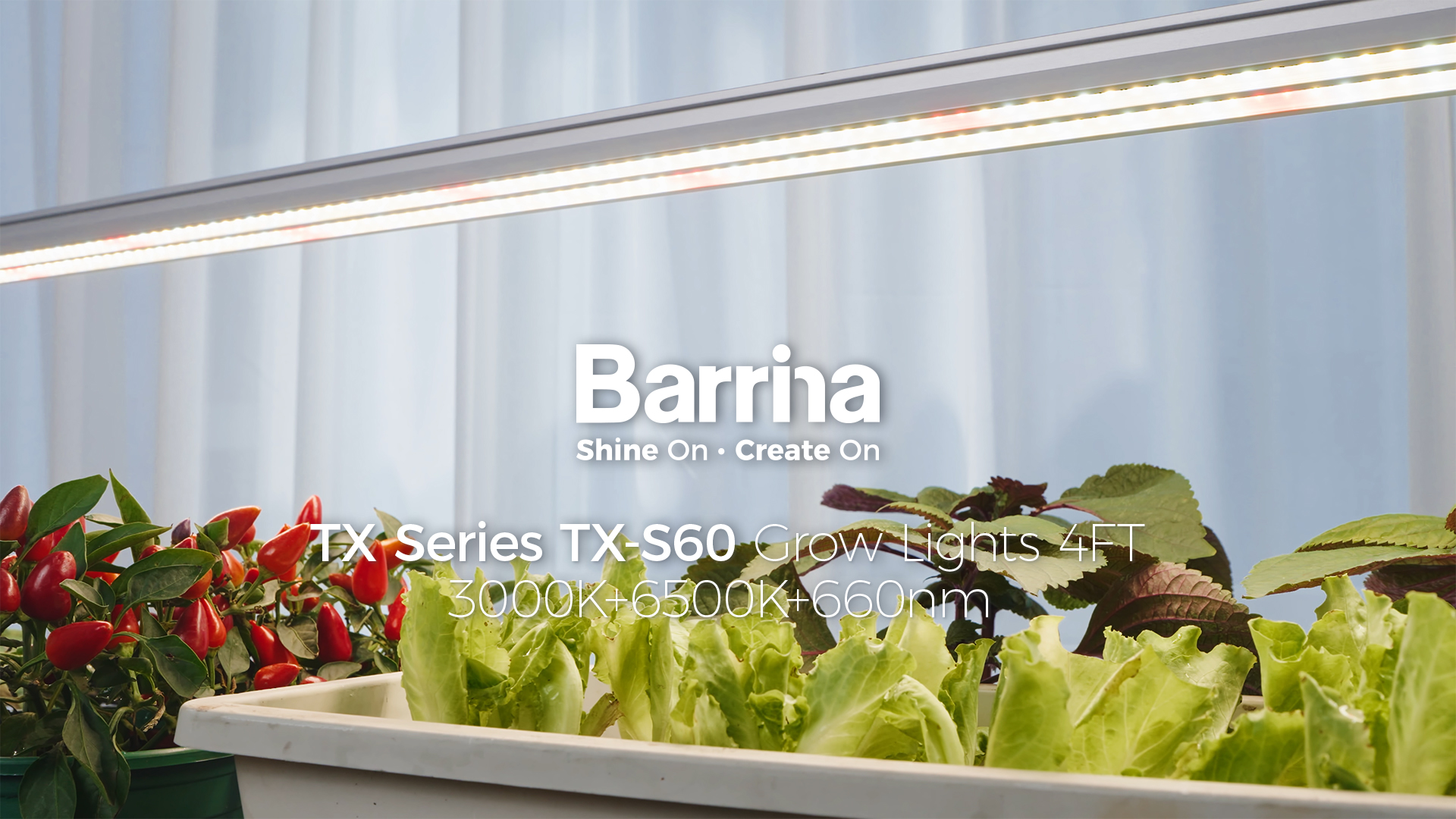 Image of Barrina TX-S60 4FT Grow Light, 60W(420W Equivalent), Full Spectrum with 660nm Red LEDs, High PPFD, Linkable, Hanging Grow Lights with On /Off Switch for Indoor Plants, Greenhouse, Seeding, Veg, 1 Pack