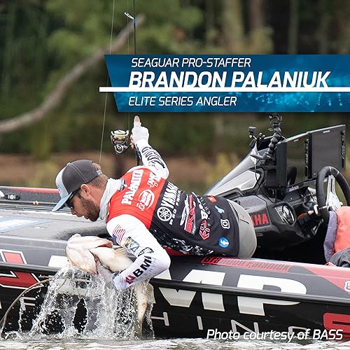 Miniatura 6 de Seaguar Tatsu, fuerte y flexible, línea de pesca de alta calidad, 100% fluorocarbono, prácticamente invisible