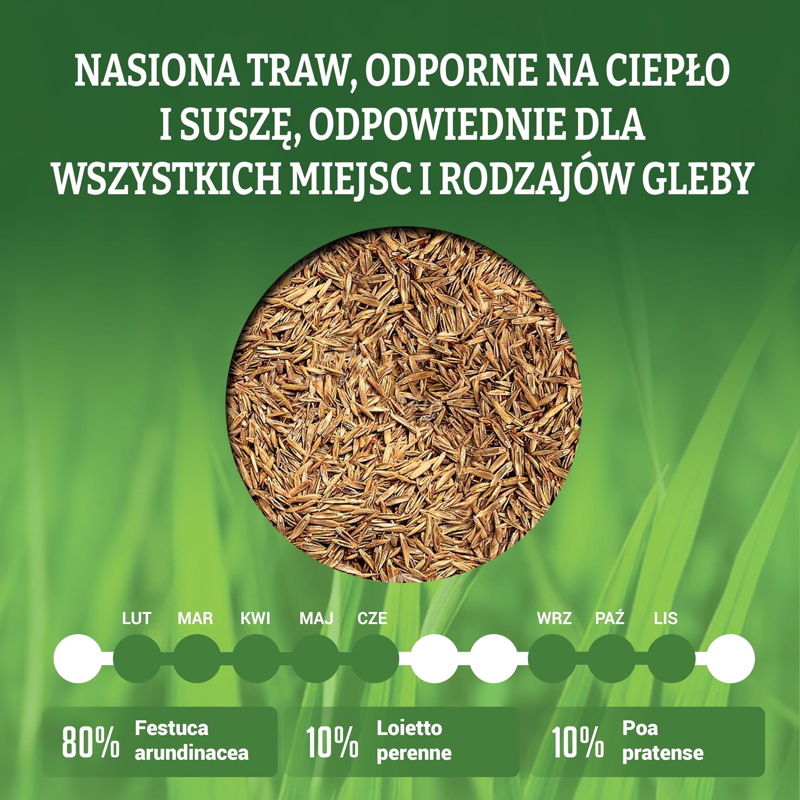 LERAVA Champion Nasiona Trawy odporne na suszę 30m² - trawnik o niskim zapotrzebowaniu na wodę - wytrzymały na deptanie - odpowiedni do wszystkich rodzajów gleby