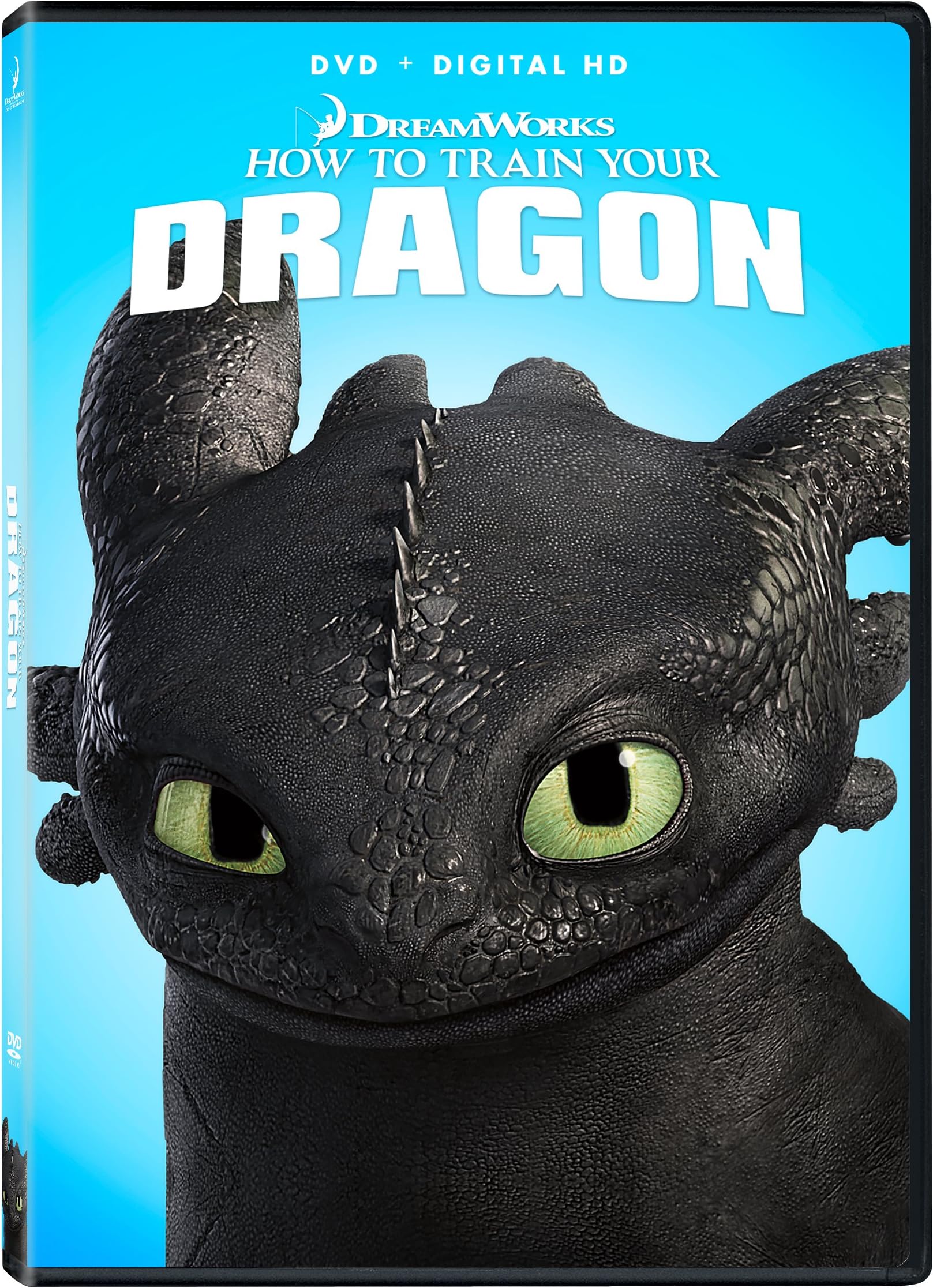 How to Train Your Dragon