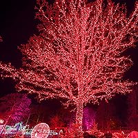 Vista 8 de Christmas String Lights, 150 Count 33 FT Incandescent Mini Green Wire Valentines Fairy Light, 120V UL Certified Connectable Xmas Tree Lights for