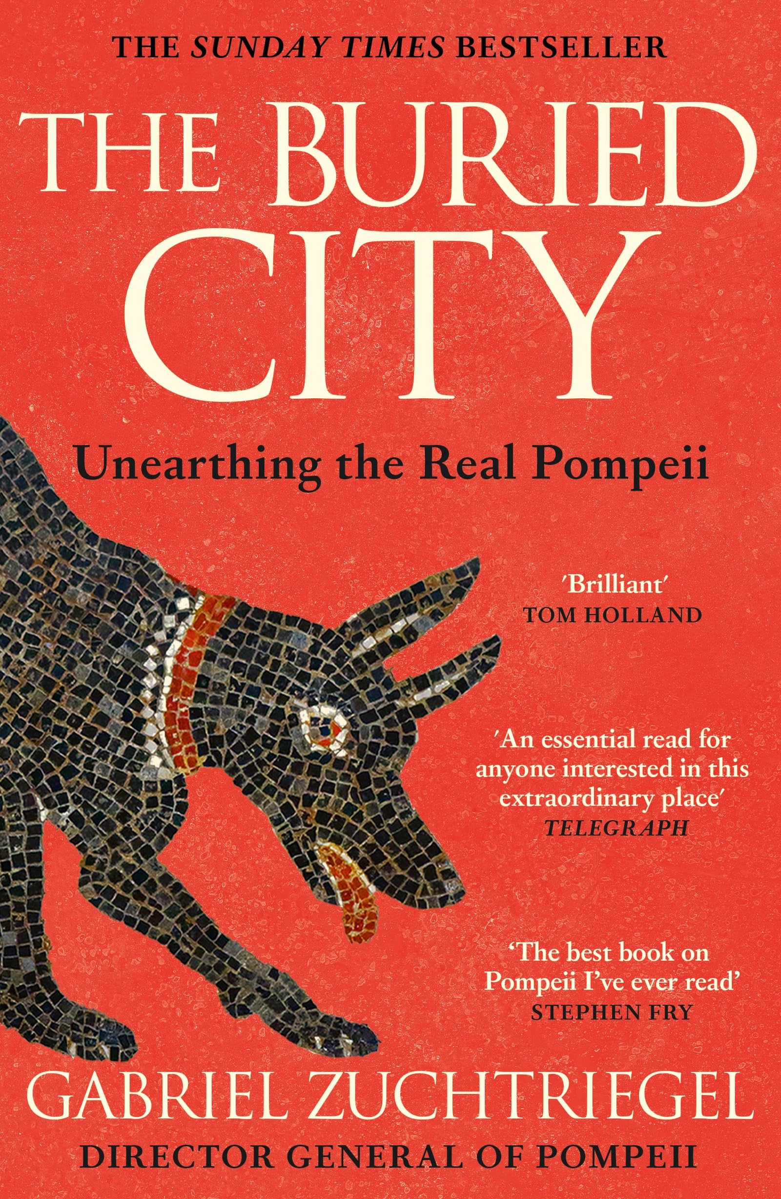 The Buried City: The Revelatory New History from the Director of Pompeii - a Sunday Times Bestseller