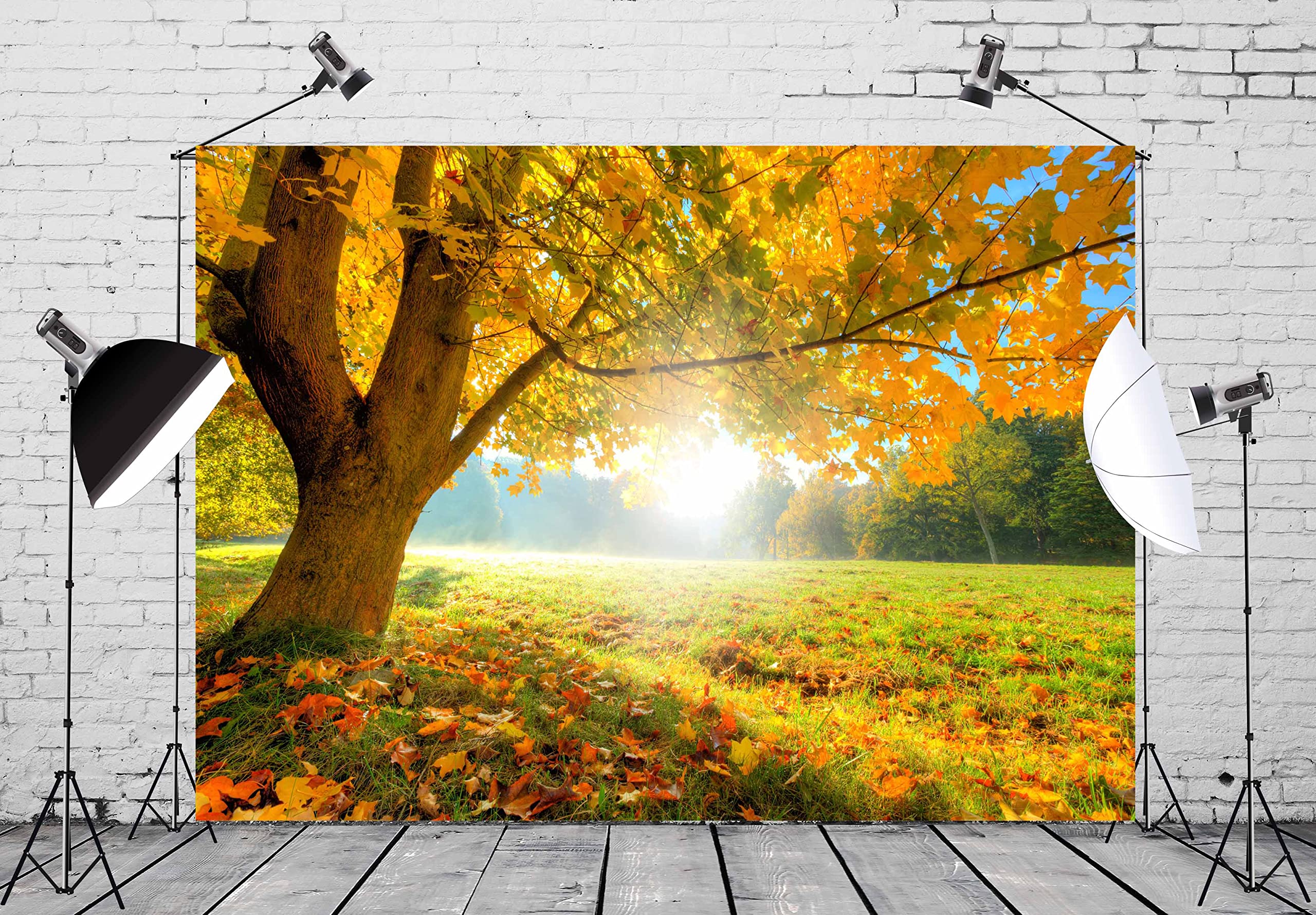 BELECO 4.6x2.5m Telo sfondo paesaggio autunnale | Paesaggio autunnale bosco alberi gialli prato foresta decidua sfondo esterni accessori foto bambini adulti