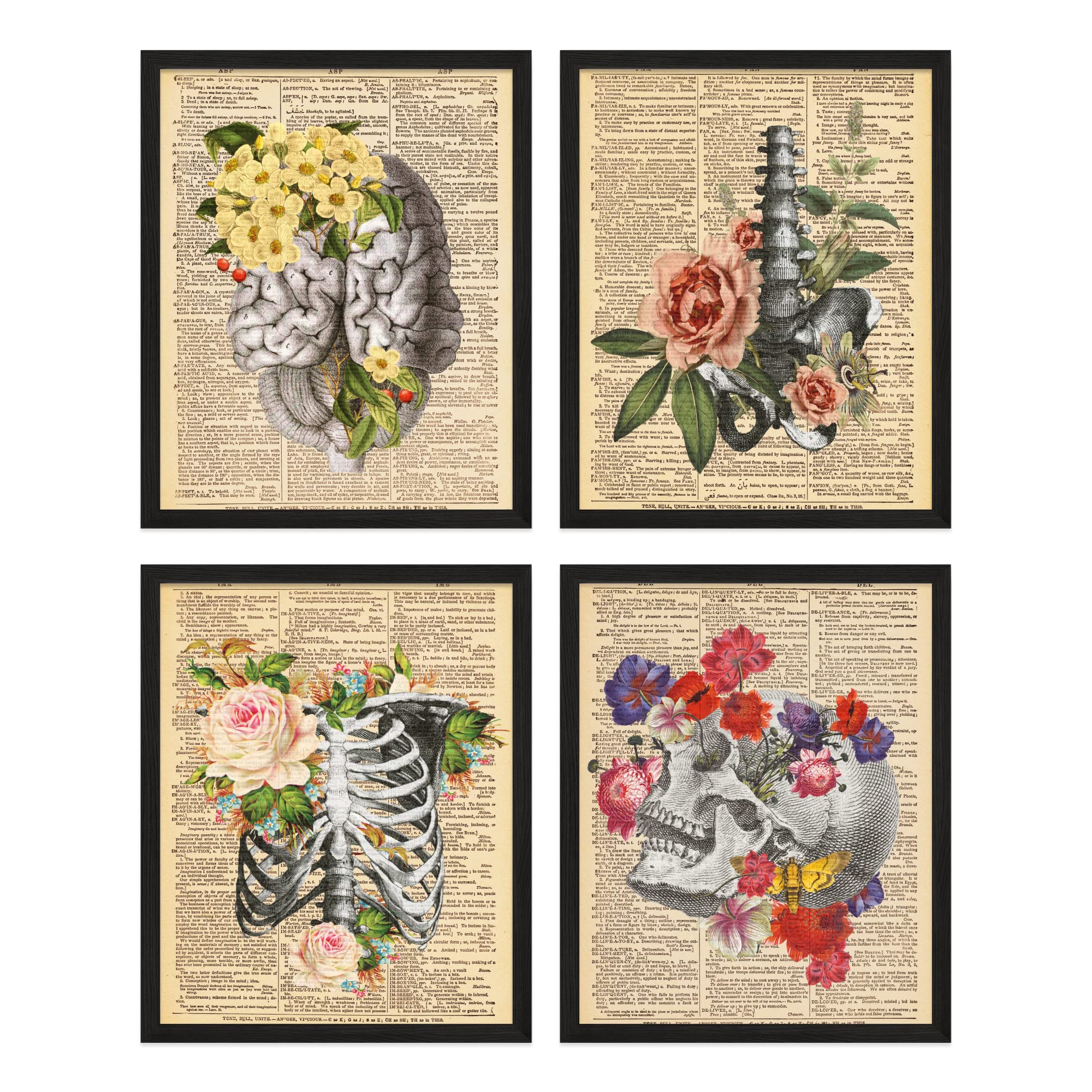 Buy Insire Anatomy Wall Art Vintage Medical s, Brain Wall Art, Skull