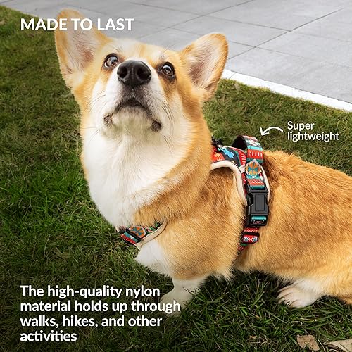 Miniatura 5 de CollarDirect Arnés reflectante sin tirones para perro, con asa y clip frontal, chaleco acolchado suave ajustable para perros pequeños a grandes,