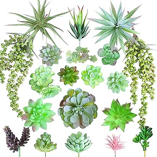 Artificial Succulents Plant 20 Pack, Faux Succulent Plants, Fake Unpotted Succulent Decor, String of Pearls, Artificial Succulents, Succulent Terrarium Supplies, Succulent Cuttings, Fake Plants - coolthings.us