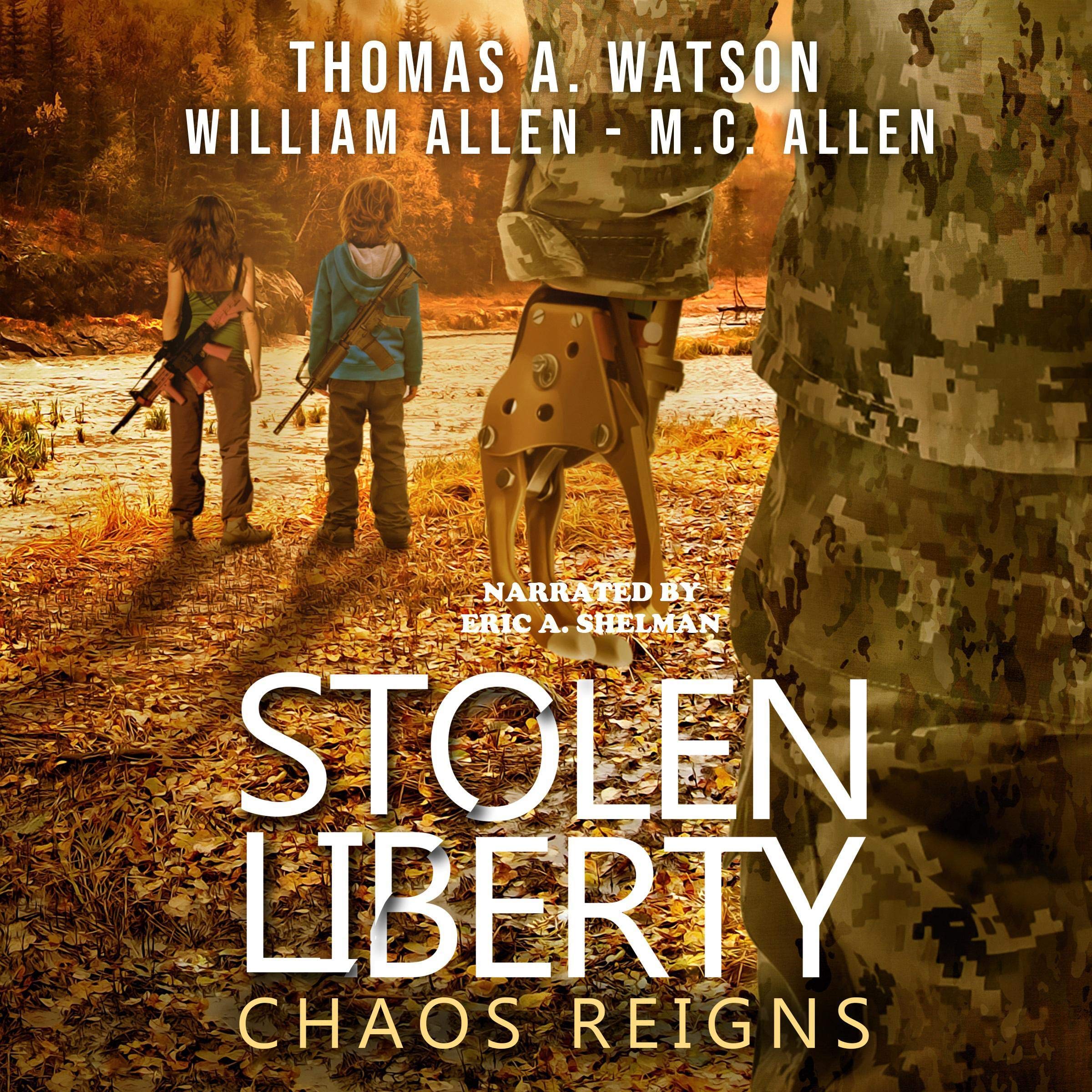 Stolen Liberty: Chaos Reigns