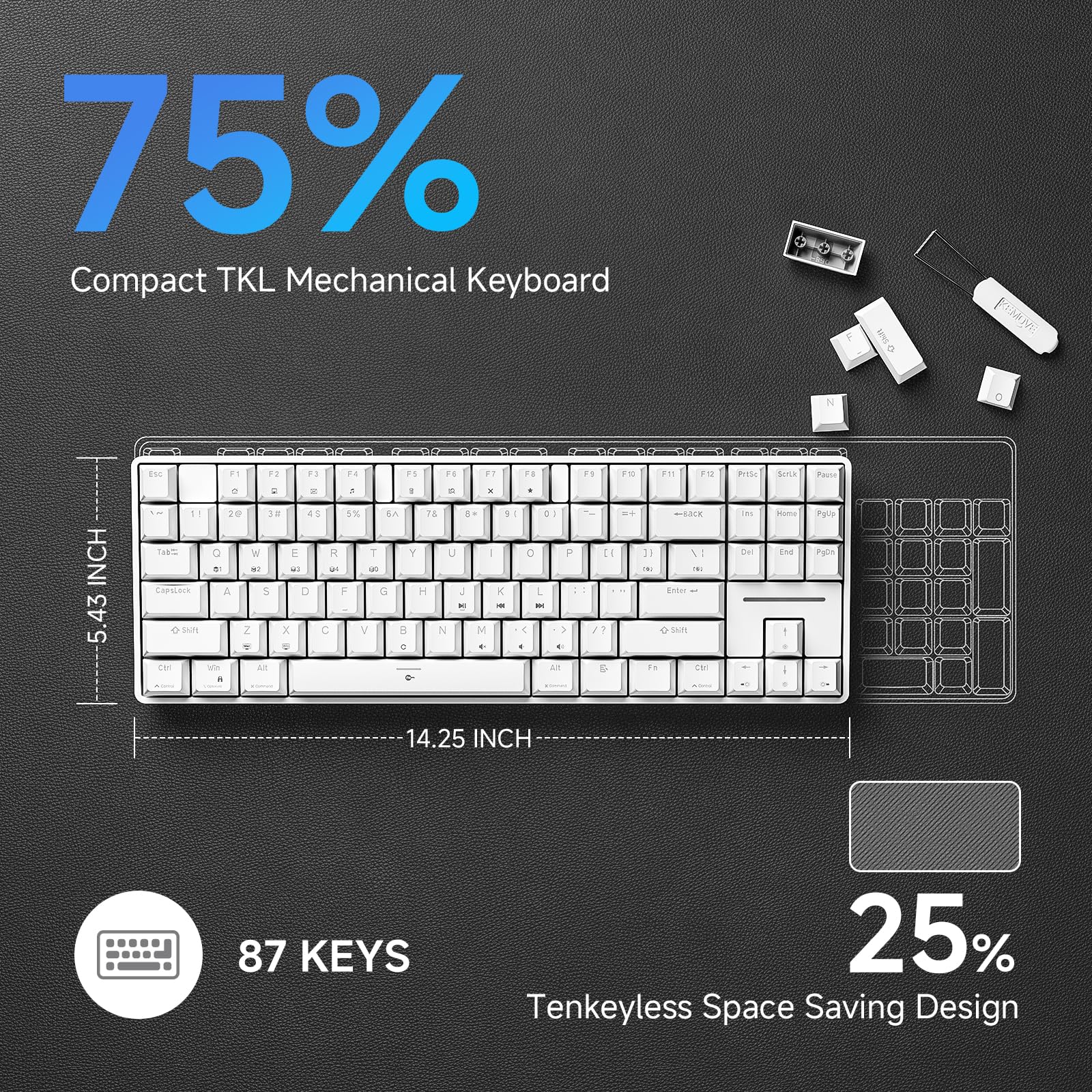 TMKB T87SE TKL Tastiera meccanica, Tastiera Cablata con Interruttori Clicky Blu, LED Retroilluminazione, Type-C Mini Compatti 87 Tasti Anti-Ghosting per PC Mac OS, Layout US, Bianca
