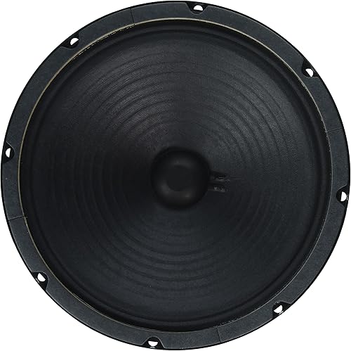 Jensen Altavoz, verde, 10 pulgadas (C10Q16)