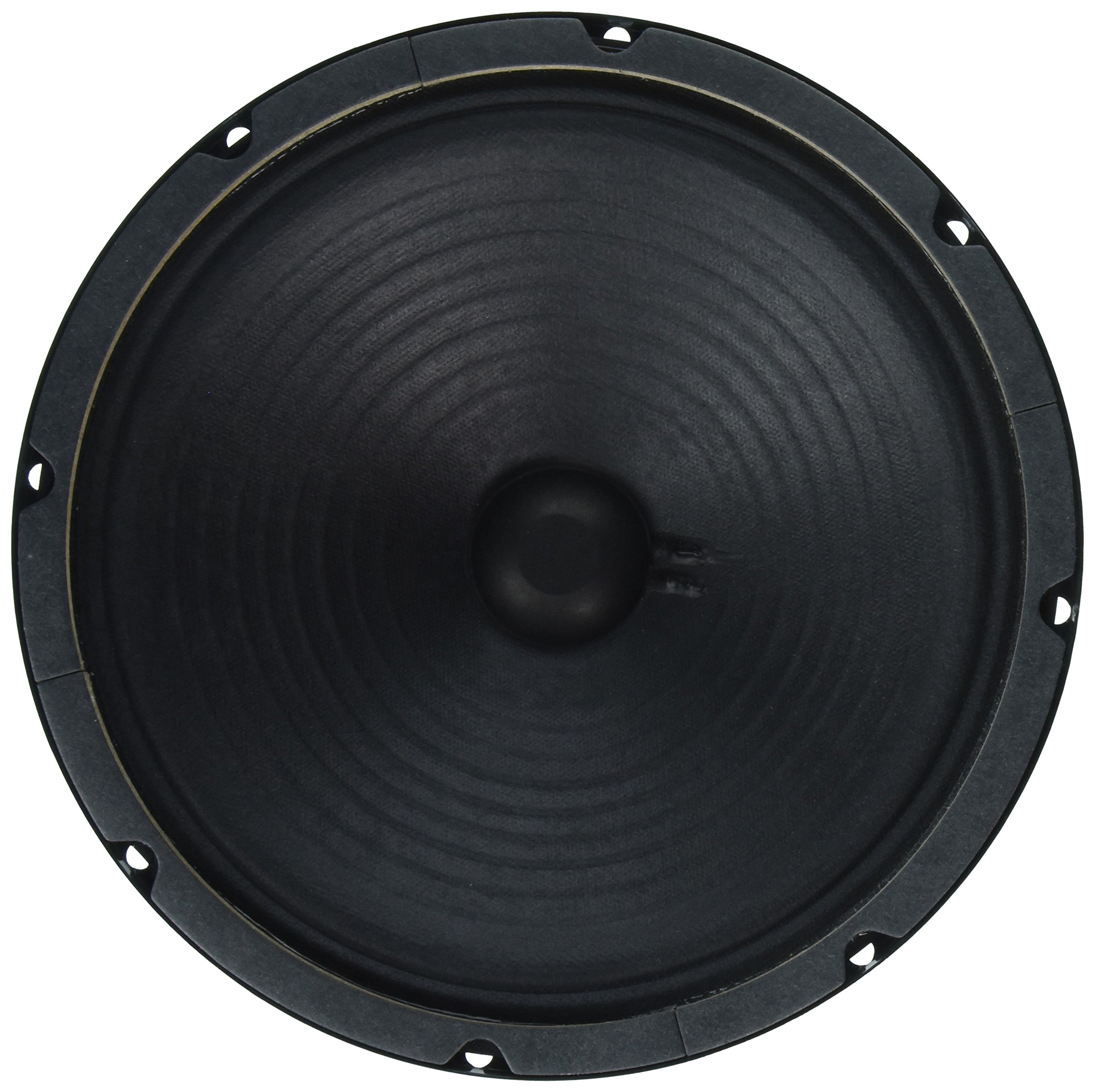 Amazon.co.jp: Jensen Vintage C10Q16 10インチ セラミックスピーカー