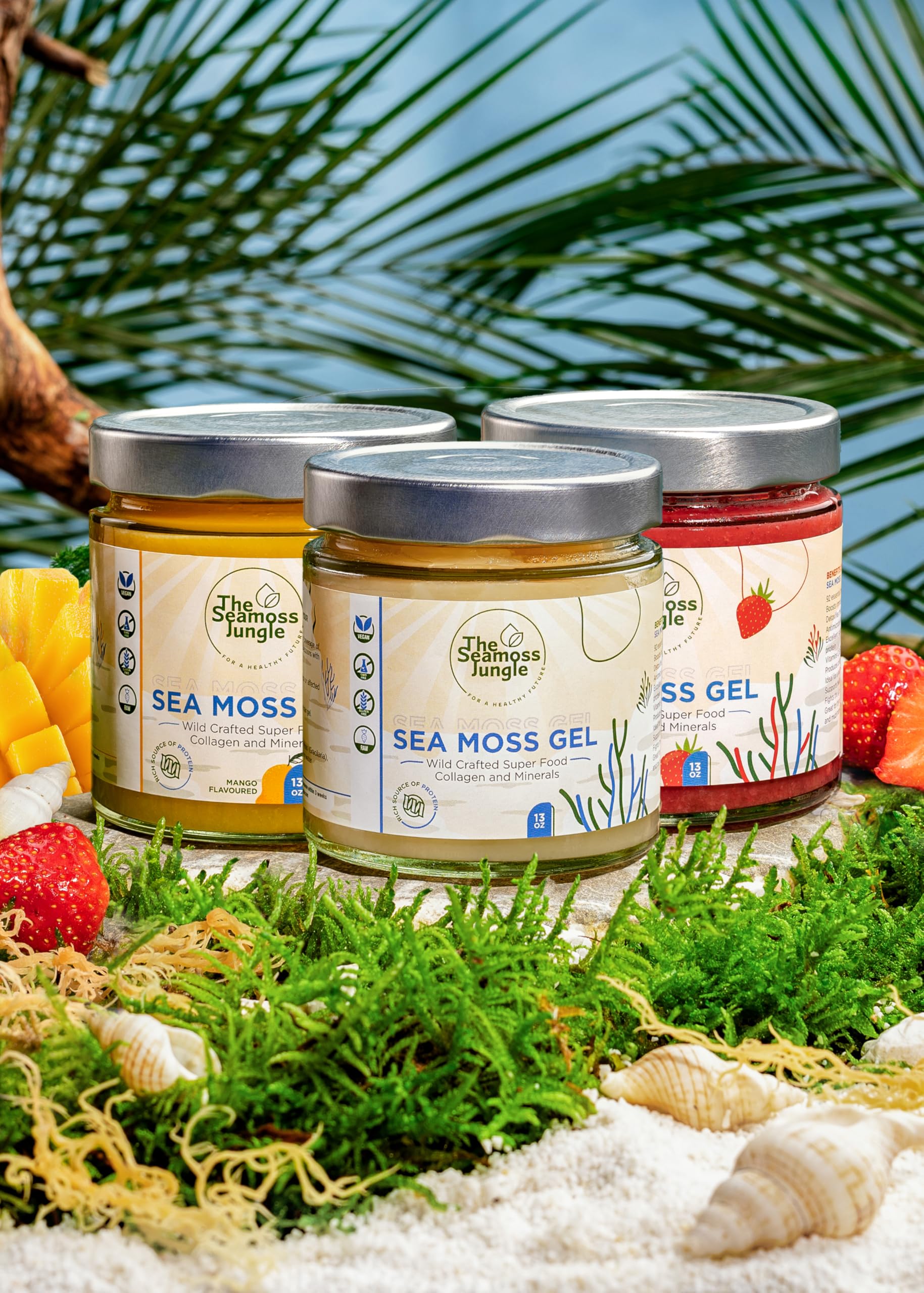 Sea Moss Family Bundle – 3 Sea Moss Gel's (Golden, Erdbeere, Mango) – Jeweils 500 ml – Natürliches Superfood für Immunsystem, Energie & Verdauung