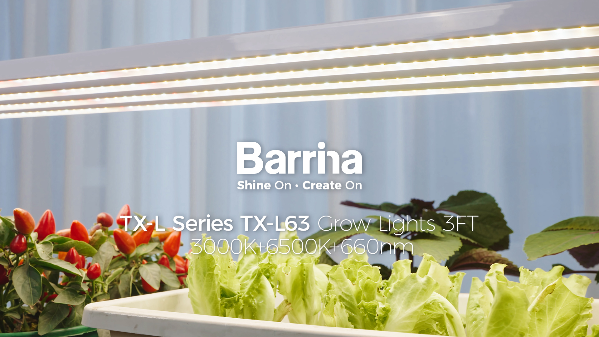Amazon.com : Barrina TX-L63 3FT LED Grow Light, 63W, 4 Panels
