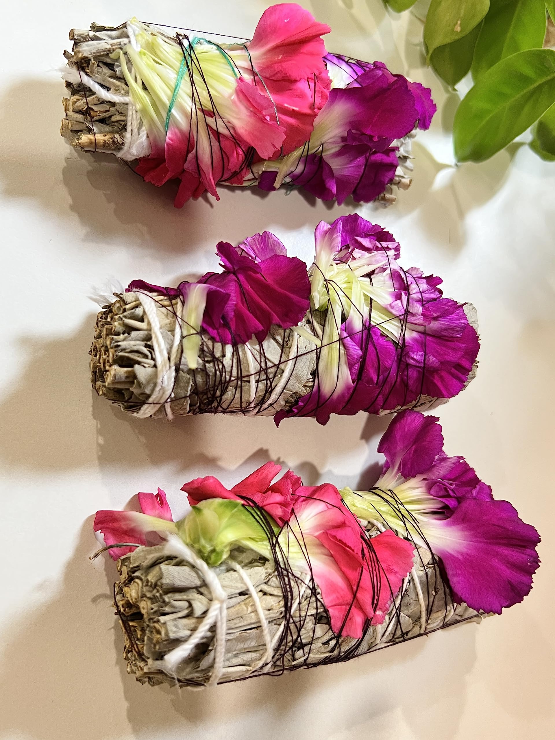 BAKA California White Sage 4 Inch Smudge Sticks for Home Cleansing, and Fragrance, Meditation, Smudging Rituals, Grown and Packaged (Black Sage) (B0CHPJL8MW) Amazon Price History, Amazon Price Tracker